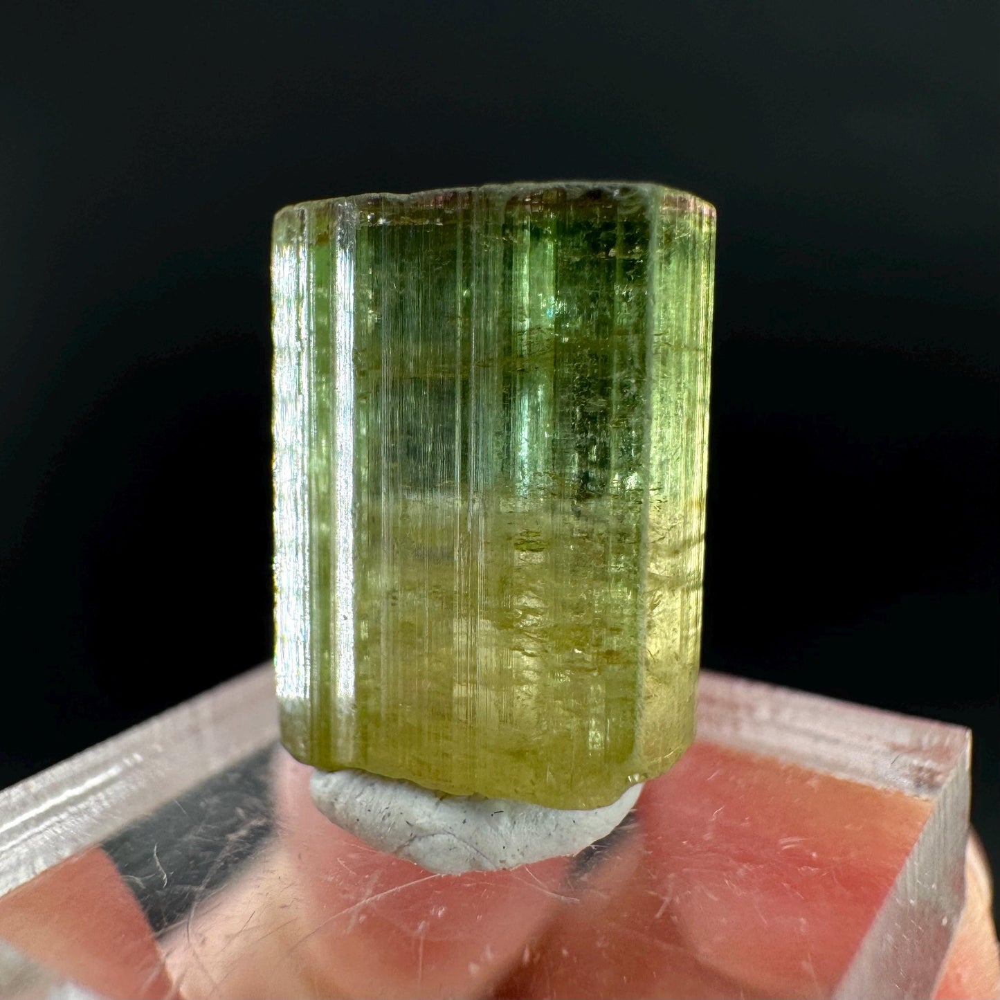 Watermelon Tourmaline | Green & Pink Bi-Color Elbaite Crystal, mineral specimen from Paprok