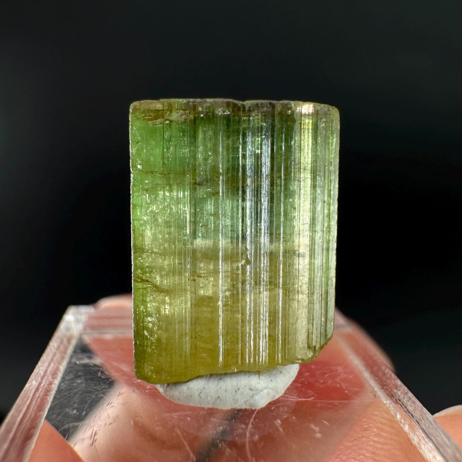 Watermelon Tourmaline | Green & Pink Bi-Color Elbaite Crystal, mineral specimen from Paprok