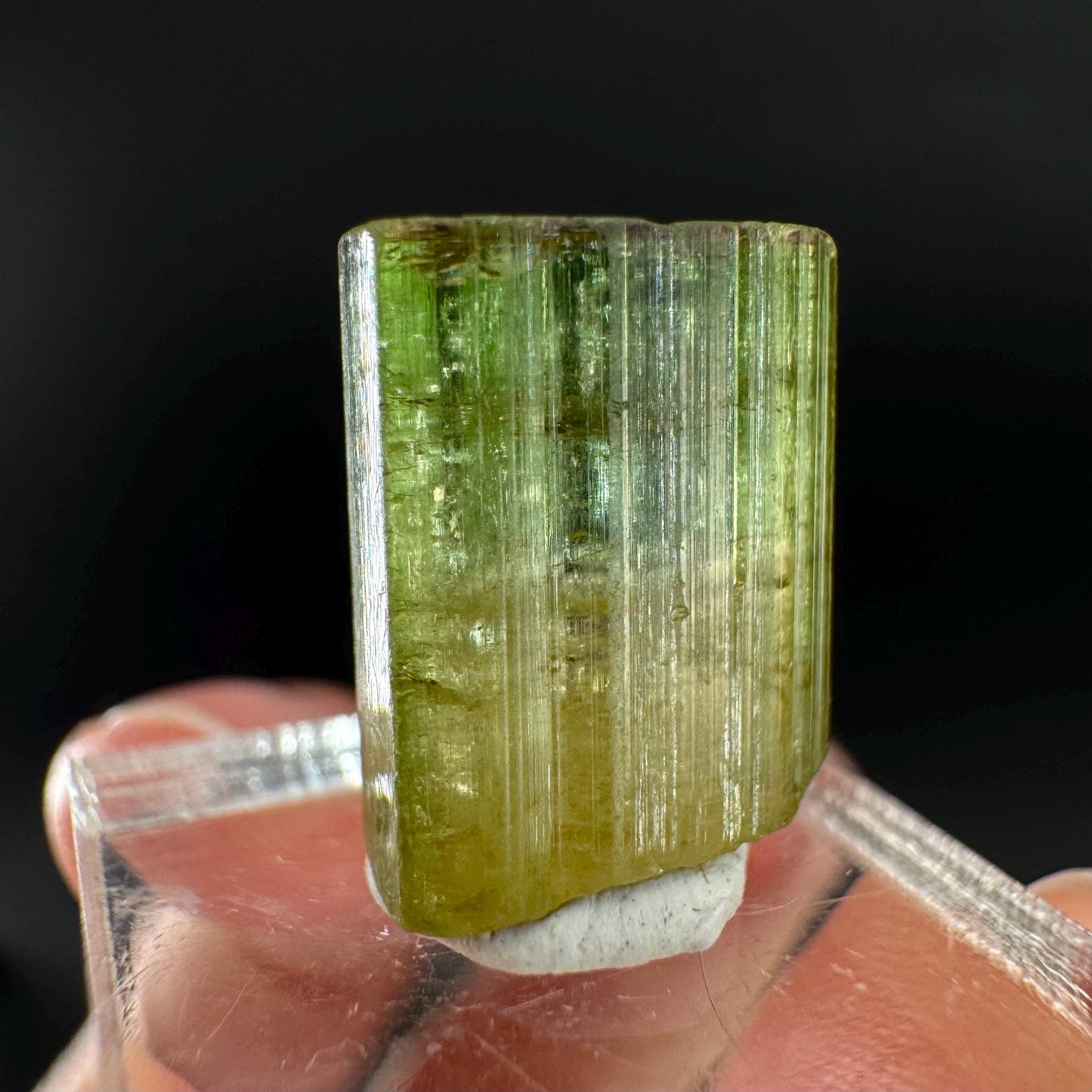 Watermelon Tourmaline | Green & Pink Bi-Color Elbaite Crystal, mineral specimen from Paprok
