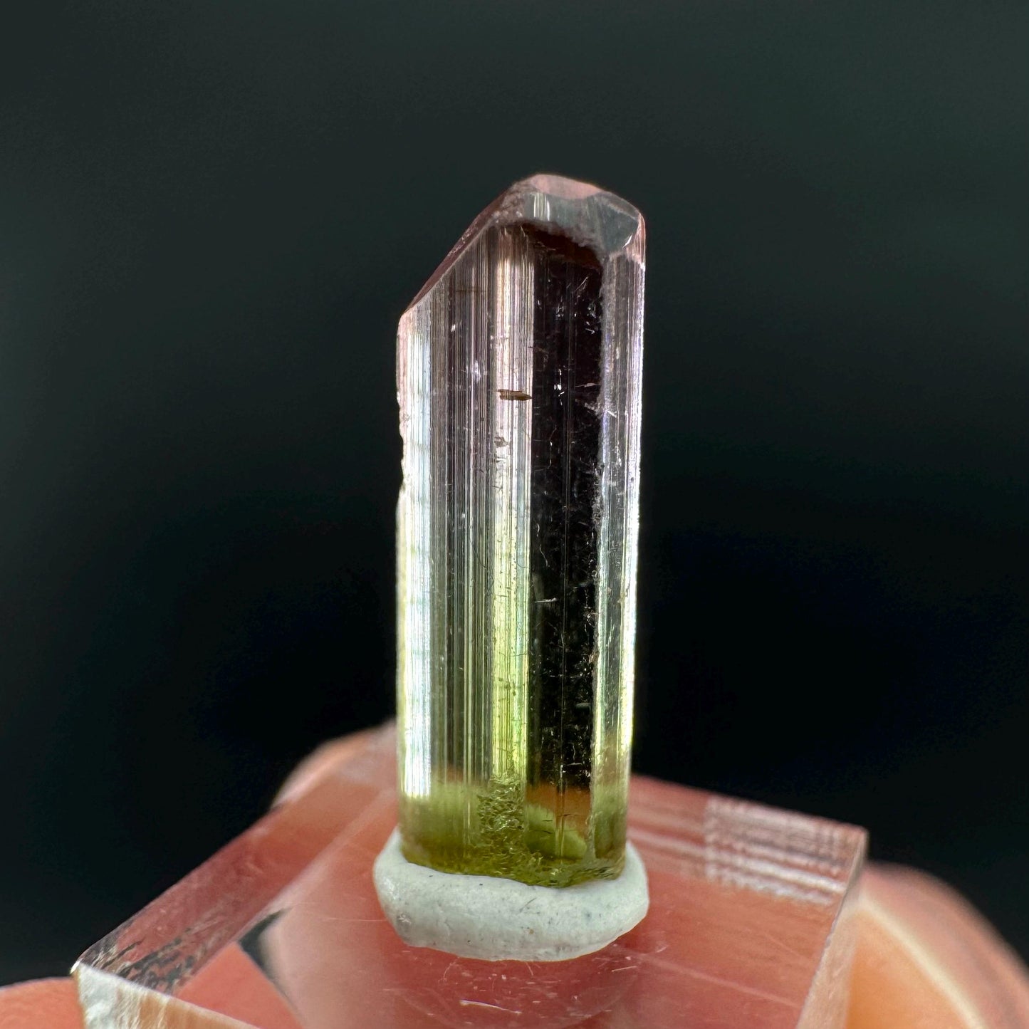 Watermelon Tourmaline | Green & Pink Bi-Color Elbaite Crystal, mineral specimen from Paprok