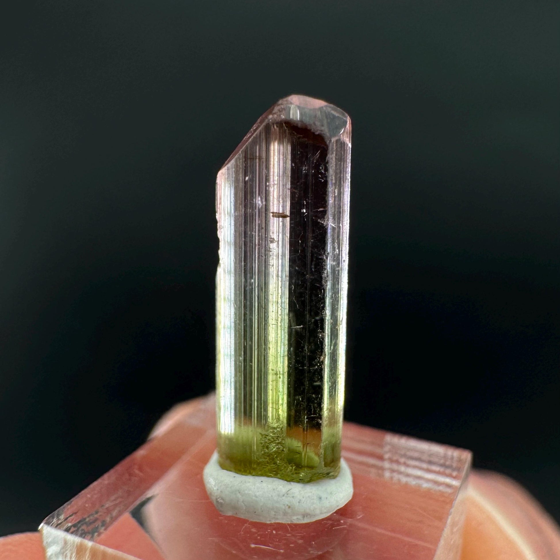 Watermelon Tourmaline | Green & Pink Bi-Color Elbaite Crystal, mineral specimen from Paprok