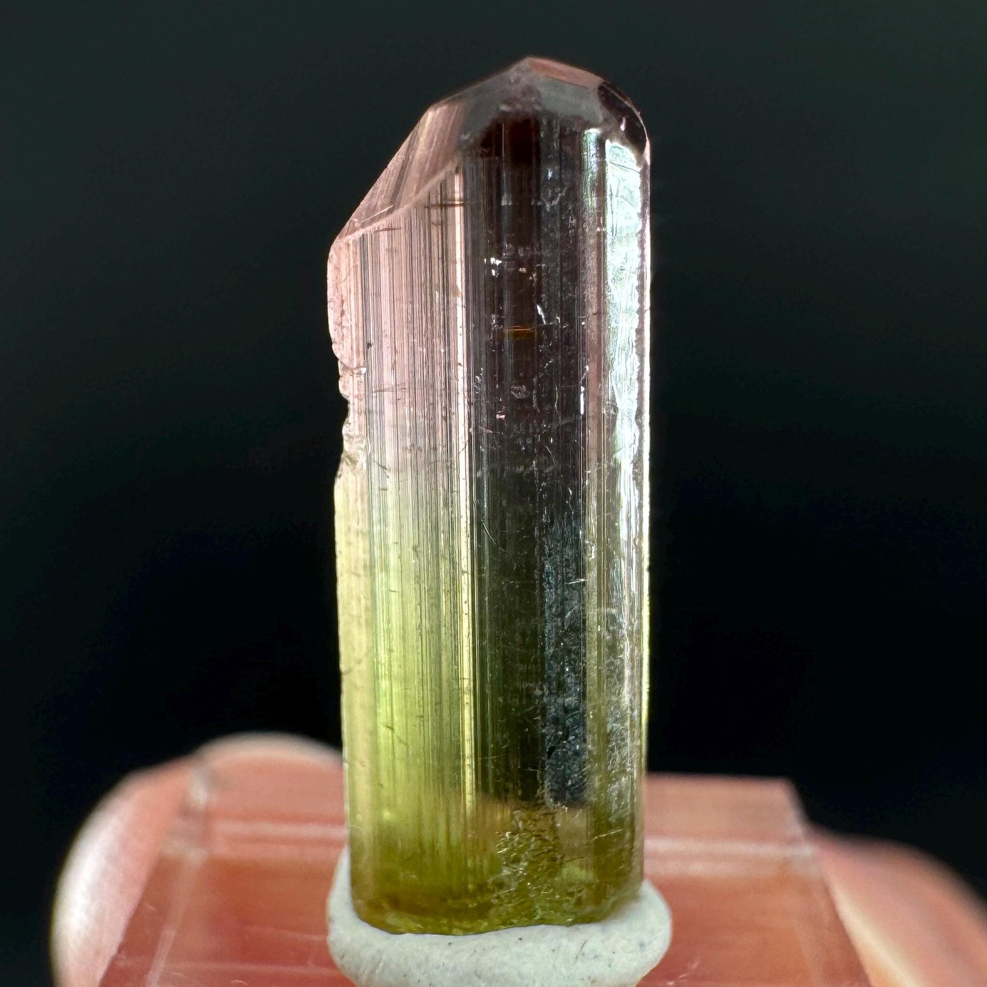 Watermelon Tourmaline | Green & Pink Bi-Color Elbaite Crystal, mineral specimen from Paprok