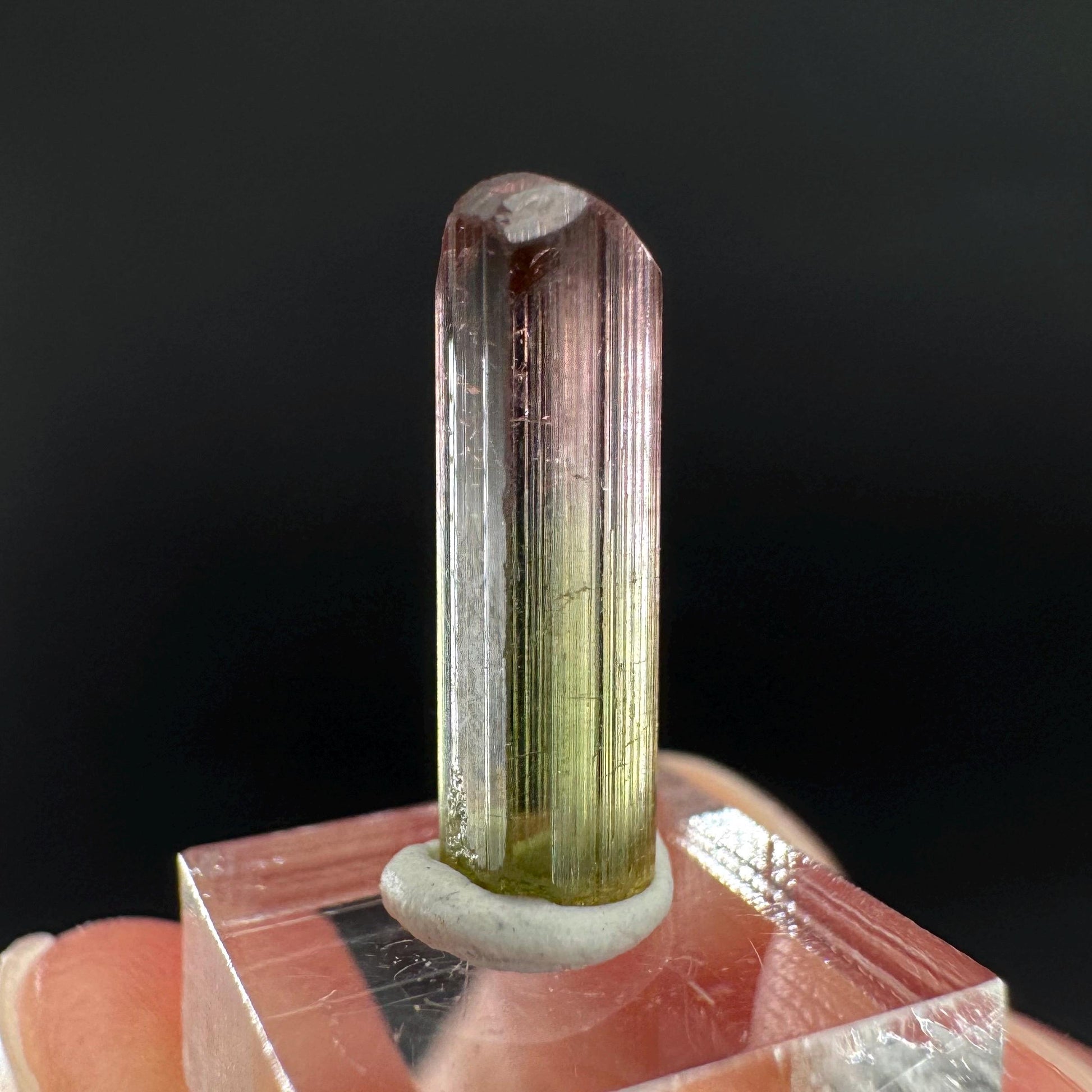 Watermelon Tourmaline | Green & Pink Bi-Color Elbaite Crystal, mineral specimen from Paprok