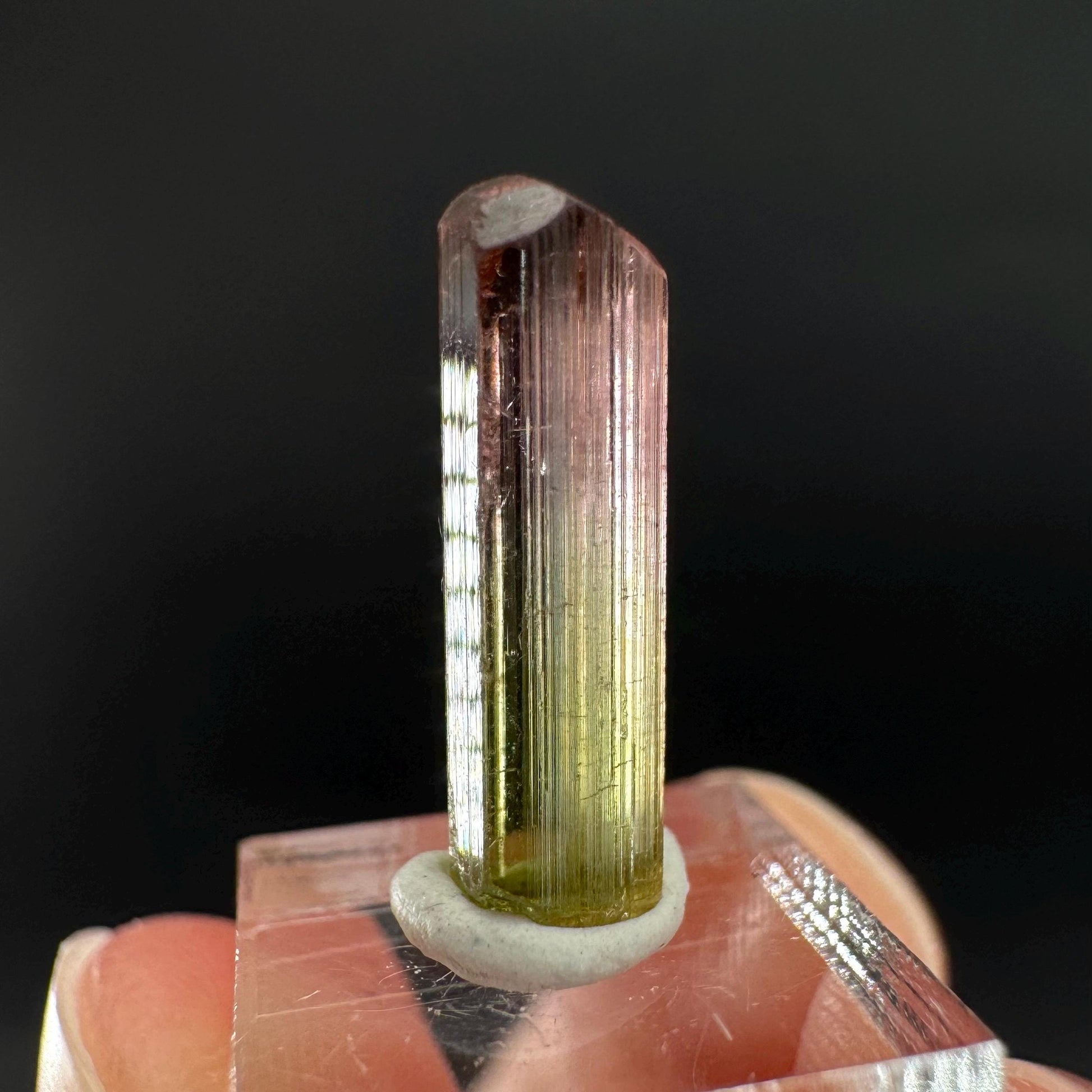 Watermelon Tourmaline | Green & Pink Bi-Color Elbaite Crystal, mineral specimen from Paprok
