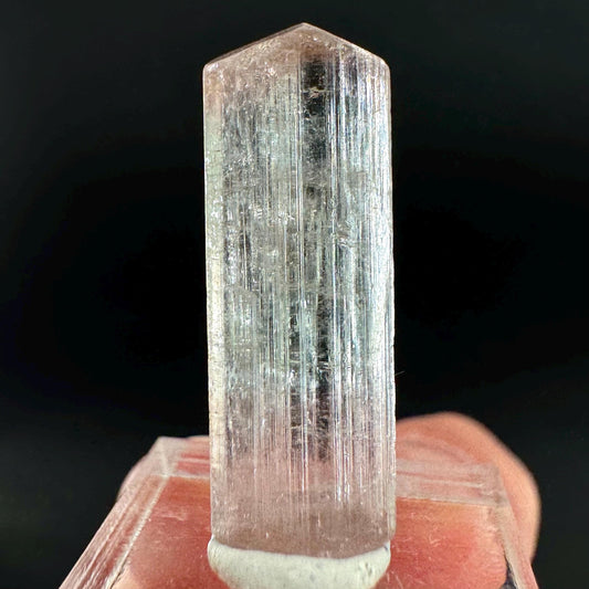 Elbaite Tourmaline | Pink & Blue Bi-Color Crystal, mineral specimen from Paprok
