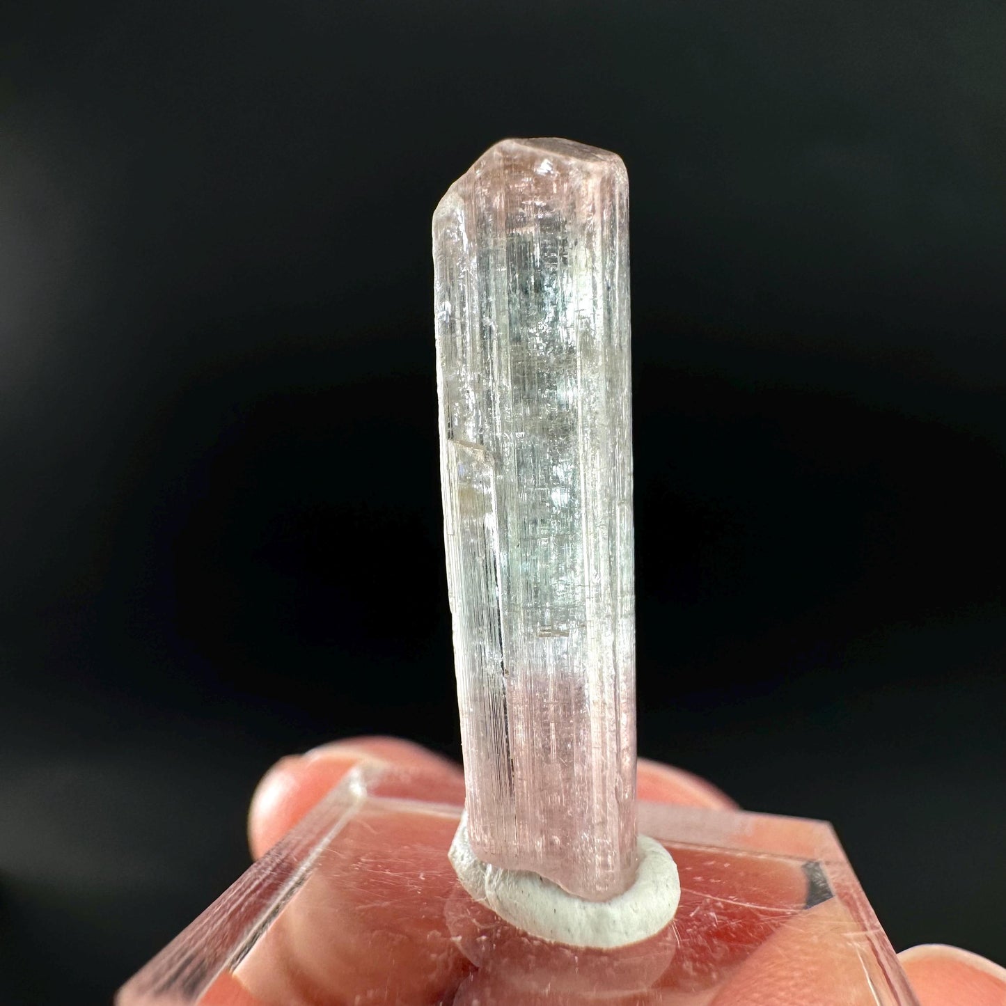 Elbaite Tourmaline | Pink & Blue Bi-Color Crystal, mineral specimen from Paprok