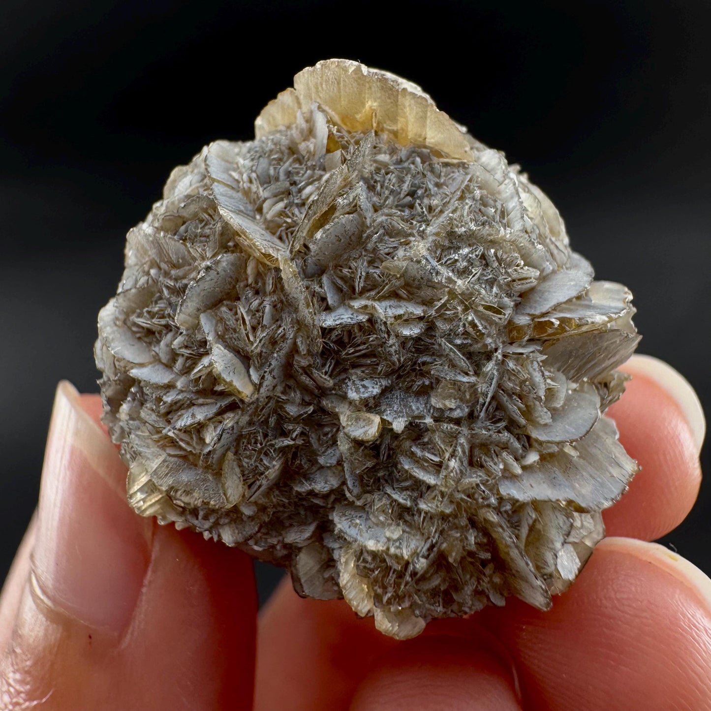 Golden Selenite Rosette | Fluorescent UV Reactive Gypsum Crystal