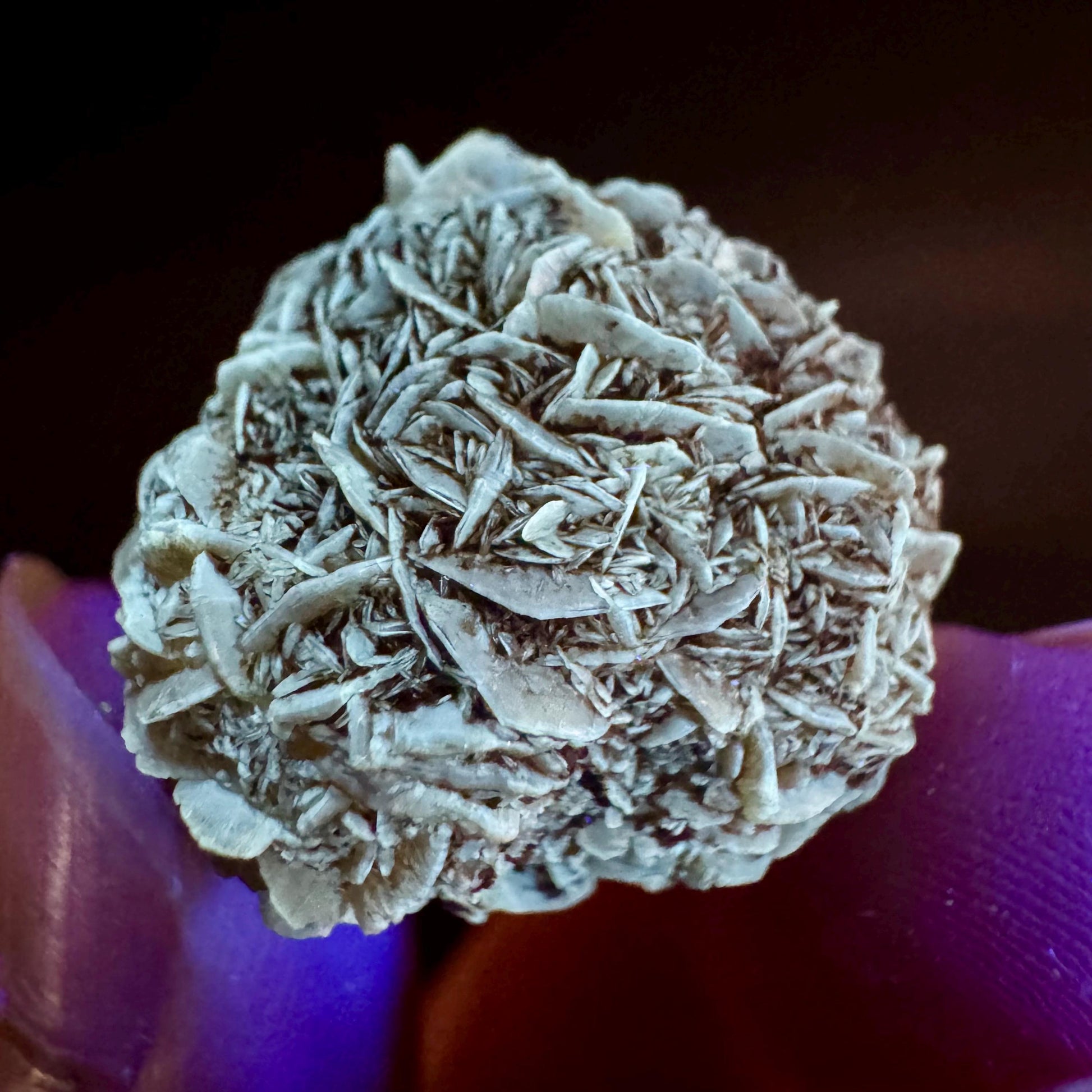 Golden Selenite Rosette | Fluorescent UV Reactive Gypsum Crystal