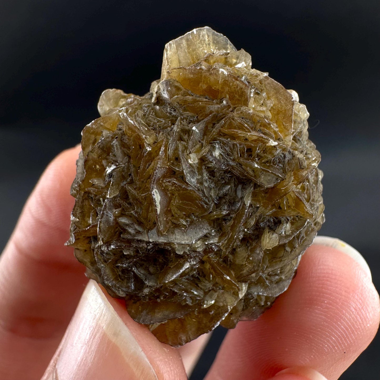 Golden Selenite Rosette | Fluorescent UV Reactive Gypsum Crystal