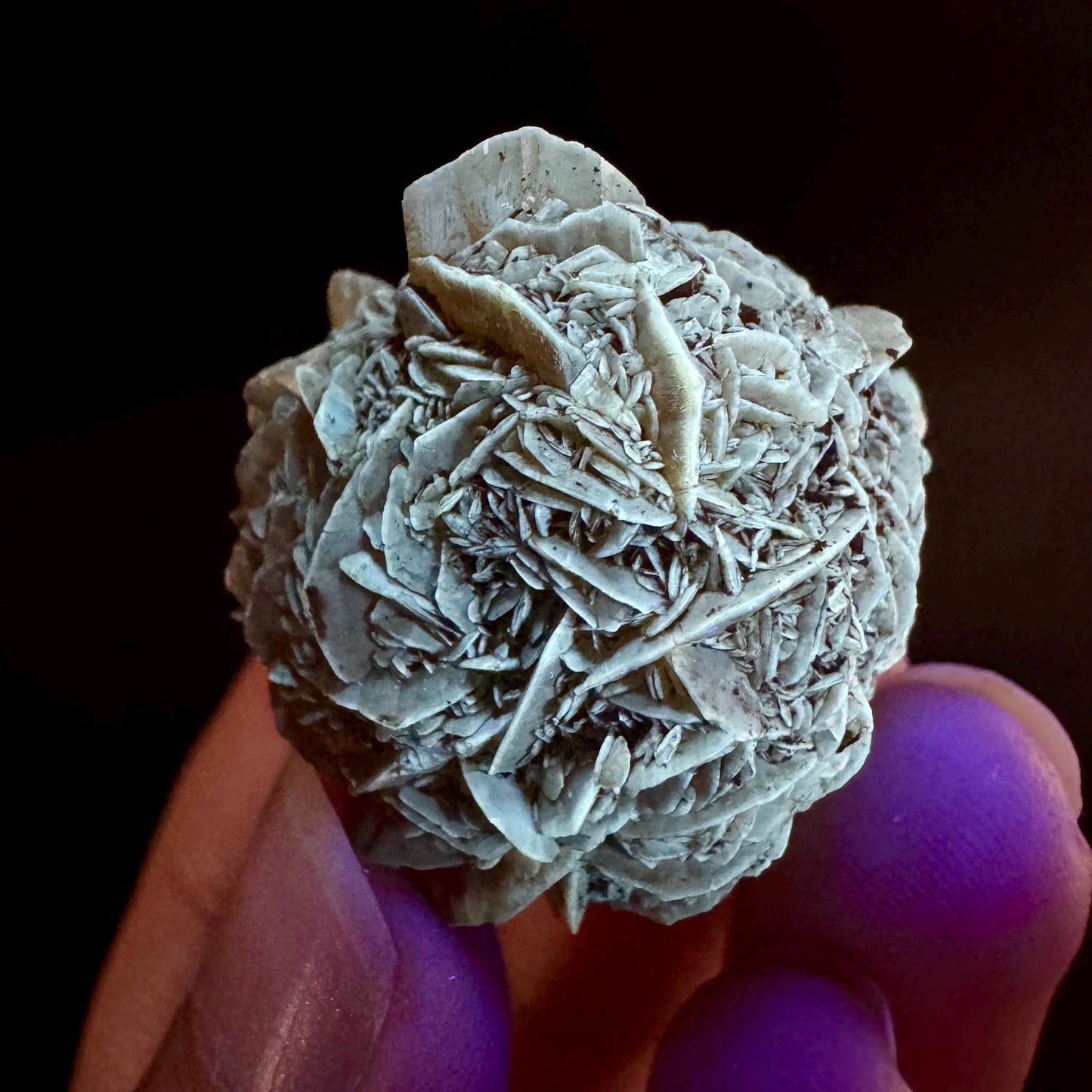 Golden Selenite Rosette | Fluorescent UV Reactive Gypsum Crystal