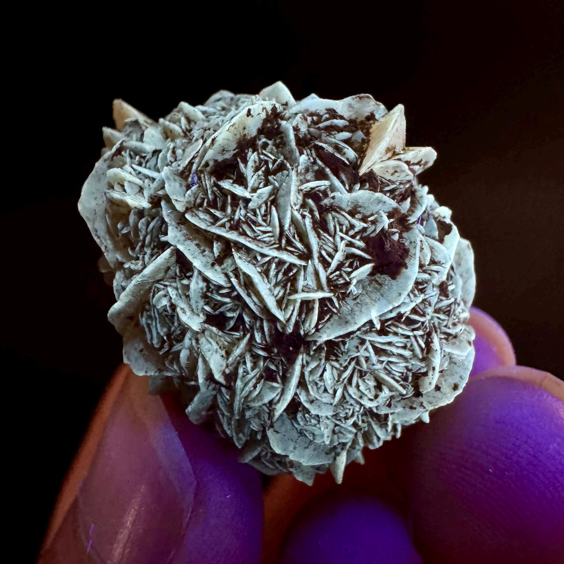 Golden Selenite Rosette | Fluorescent UV Reactive Gypsum Crystal