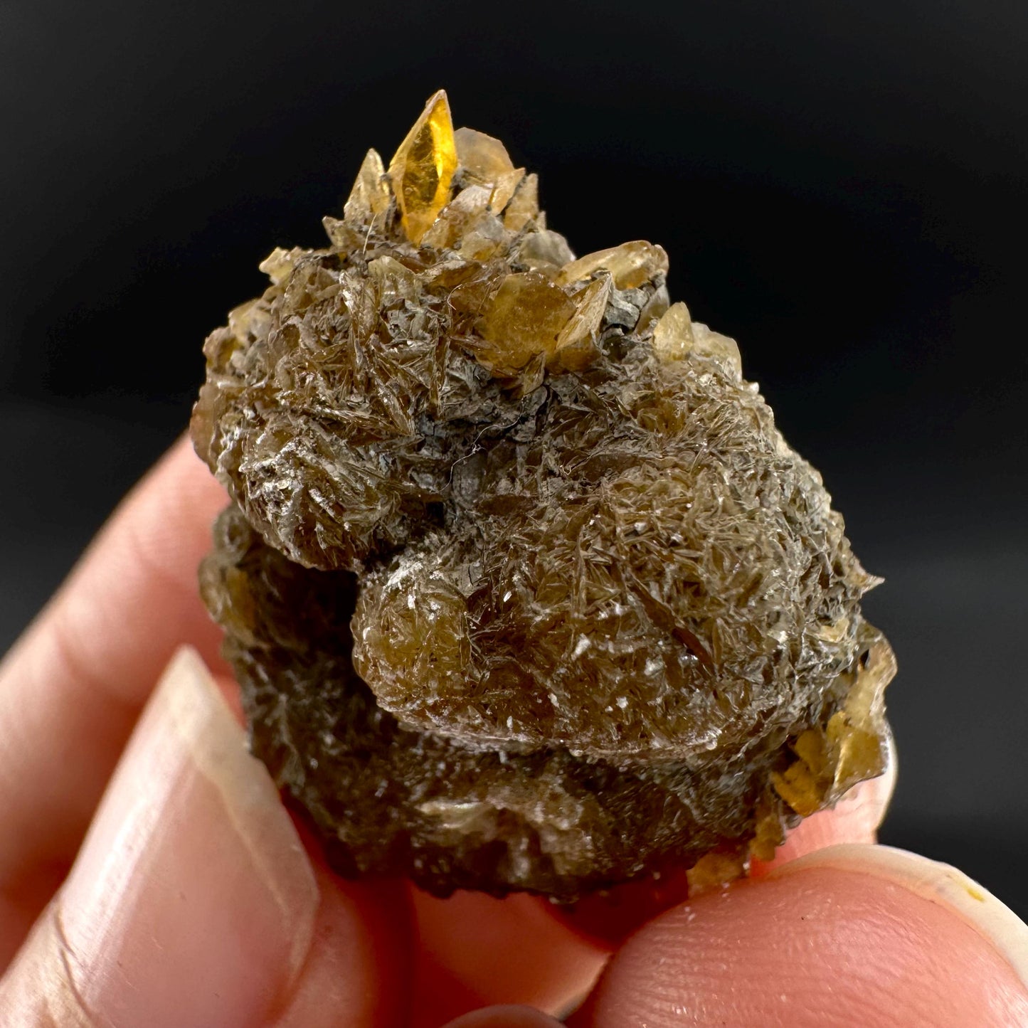 Golden Selenite Rosette | Fluorescent UV Reactive Gypsum Crystal