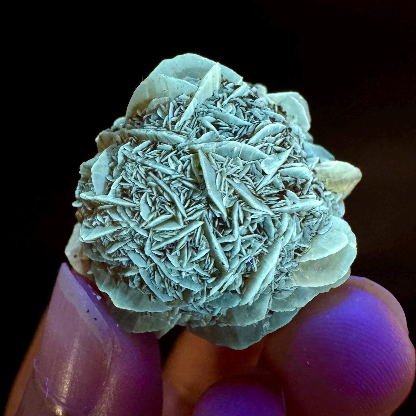 Golden Selenite Rosette | Fluorescent UV Reactive Gypsum Crystal