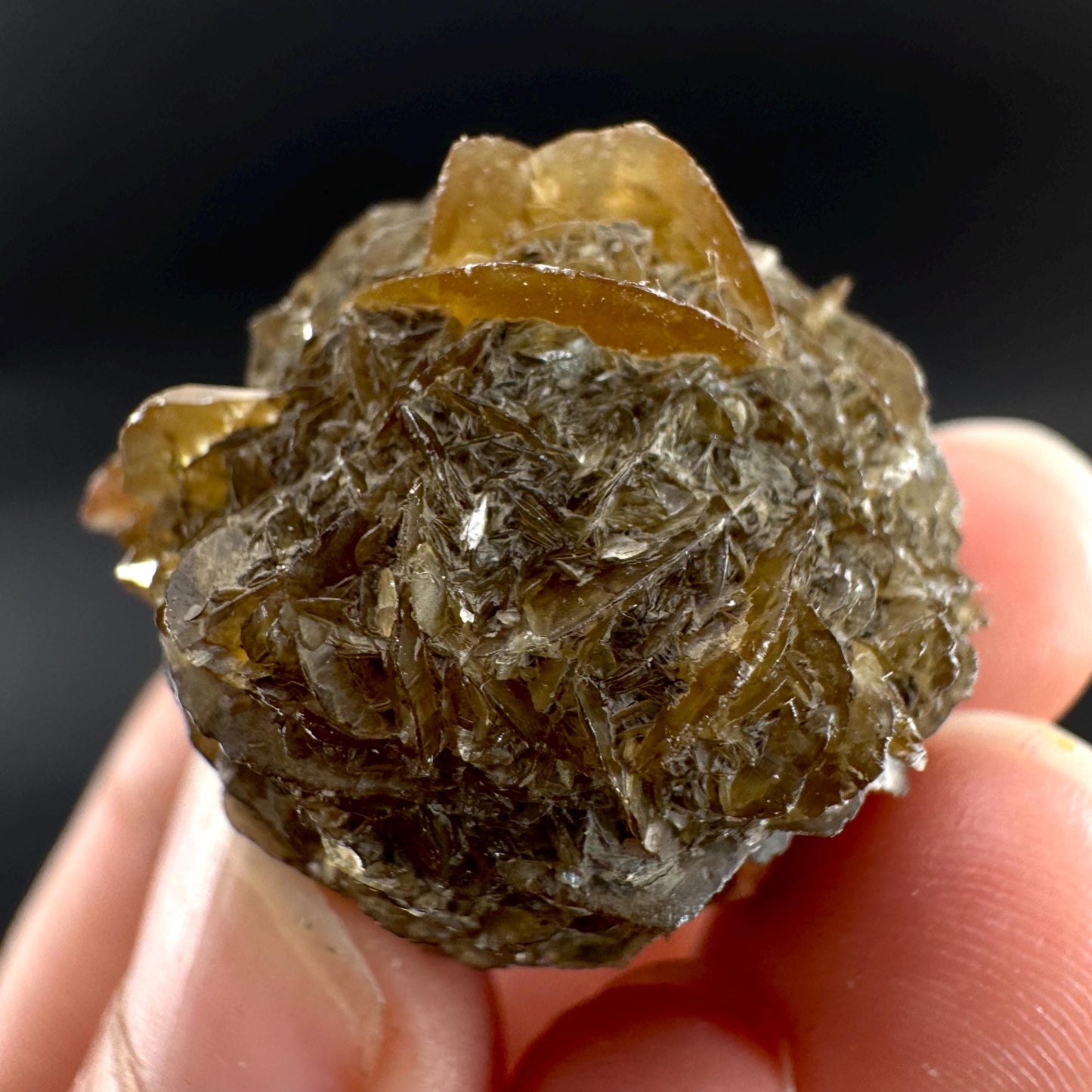 Golden Selenite Rosette | Fluorescent UV Reactive Gypsum Crystal