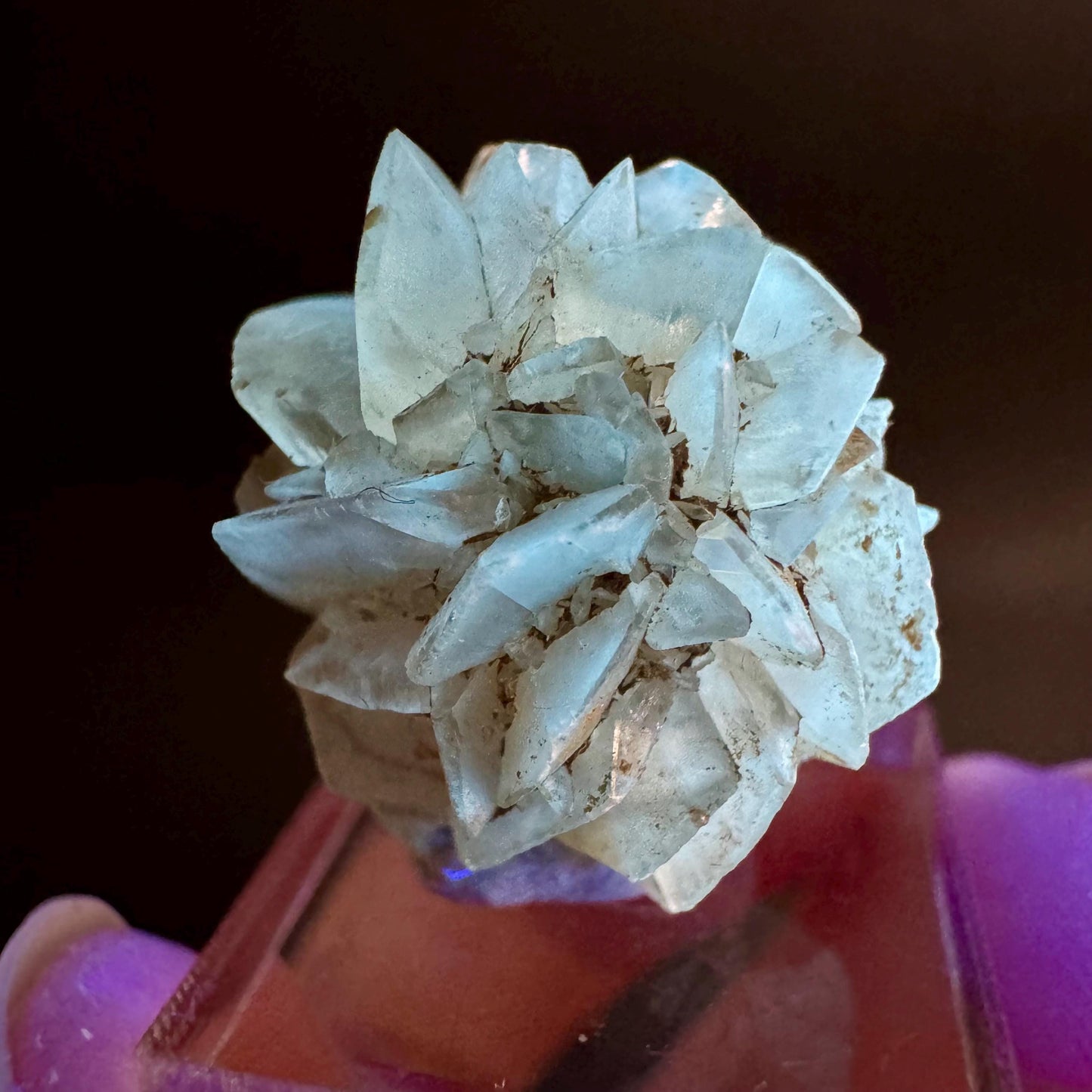 Golden Selenite Rosette | Fluorescent UV Reactive Gypsum Crystal