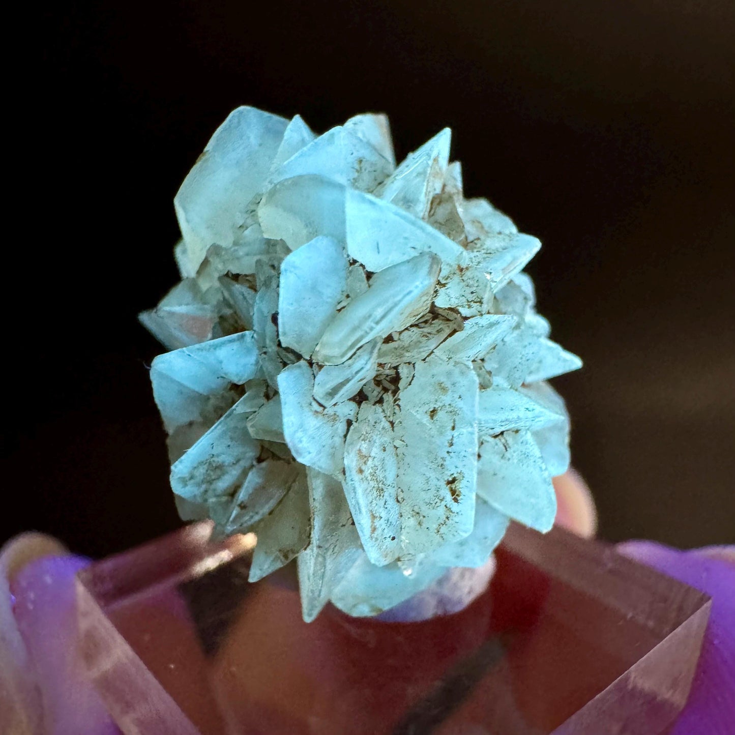 Golden Selenite Rosette | Fluorescent UV Reactive Gypsum Crystal