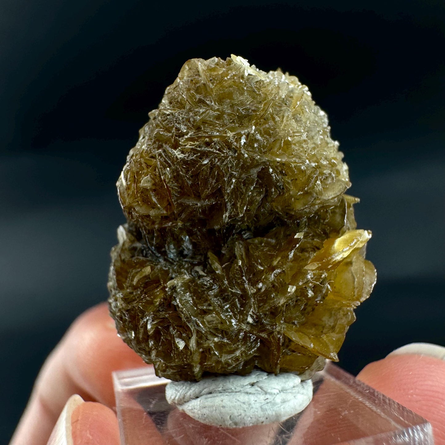 Golden Selenite Rosette | Fluorescent UV Reactive Gypsum Crystal
