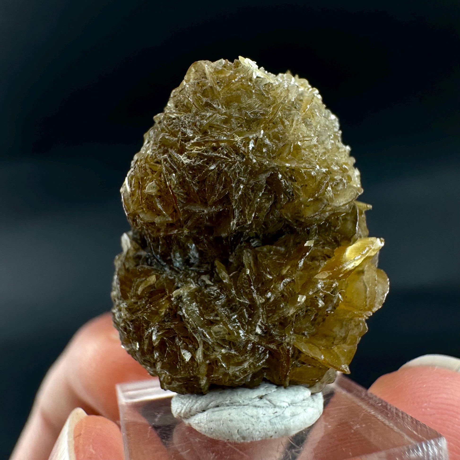 Golden Selenite Rosette | Fluorescent UV Reactive Gypsum Crystal