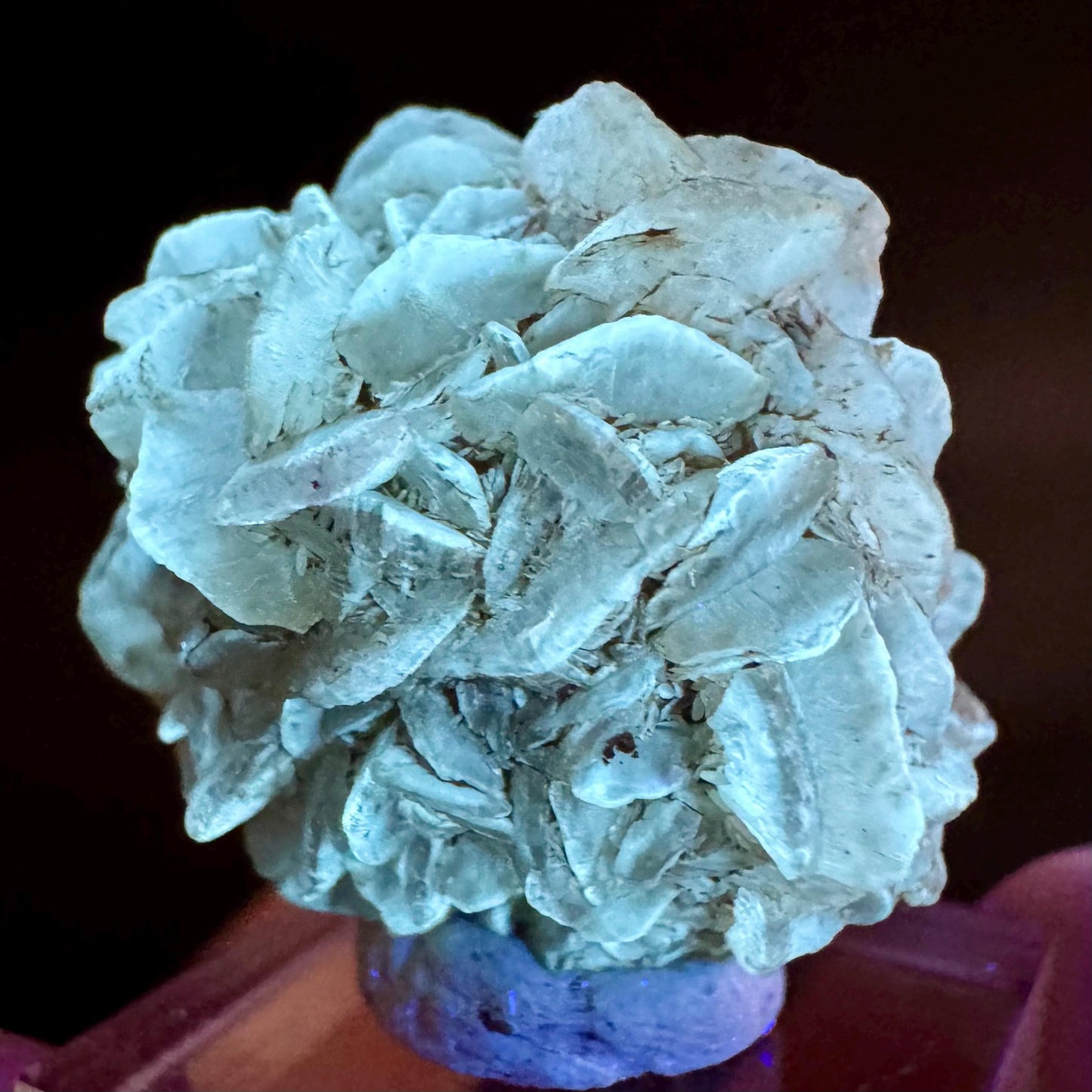 Golden Selenite Rosette | Fluorescent UV Reactive Gypsum Crystal