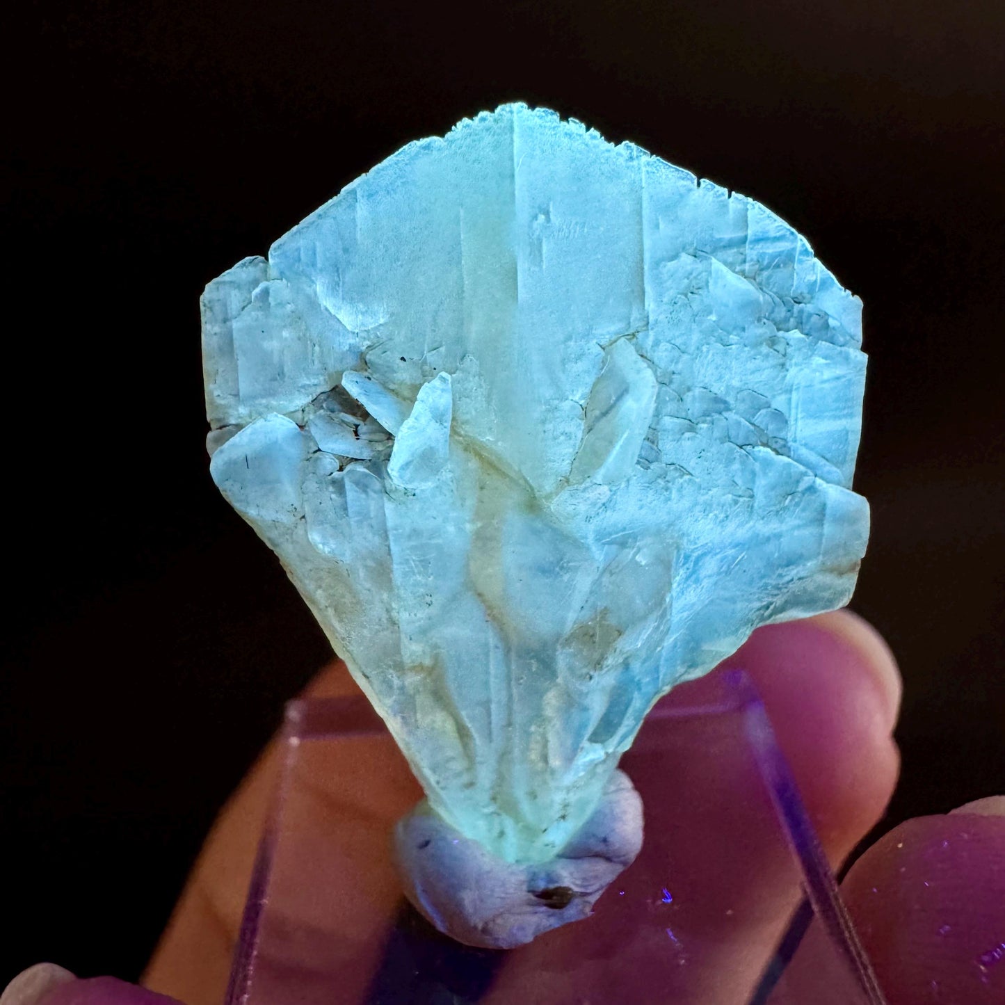 Golden Selenite Blade | Fluorescent UV Reactive Gypsum Crystal