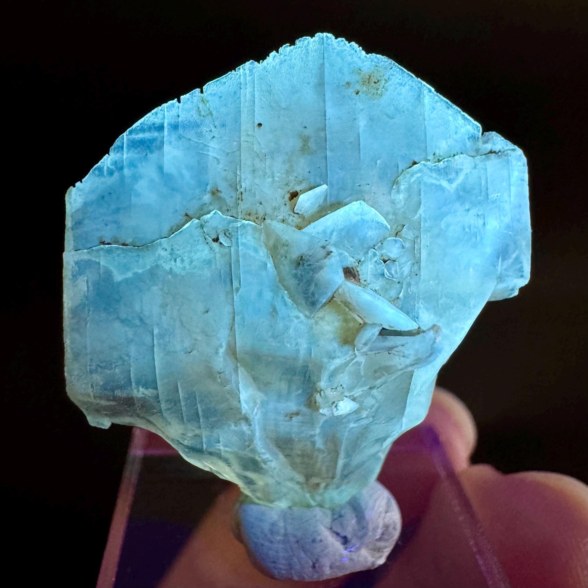 Golden Selenite Blade | Fluorescent UV Reactive Gypsum Crystal