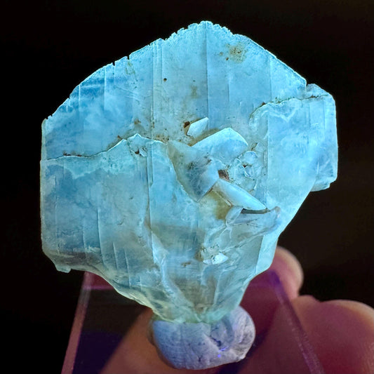 Golden Selenite Blade | Fluorescent UV Reactive Gypsum Crystal