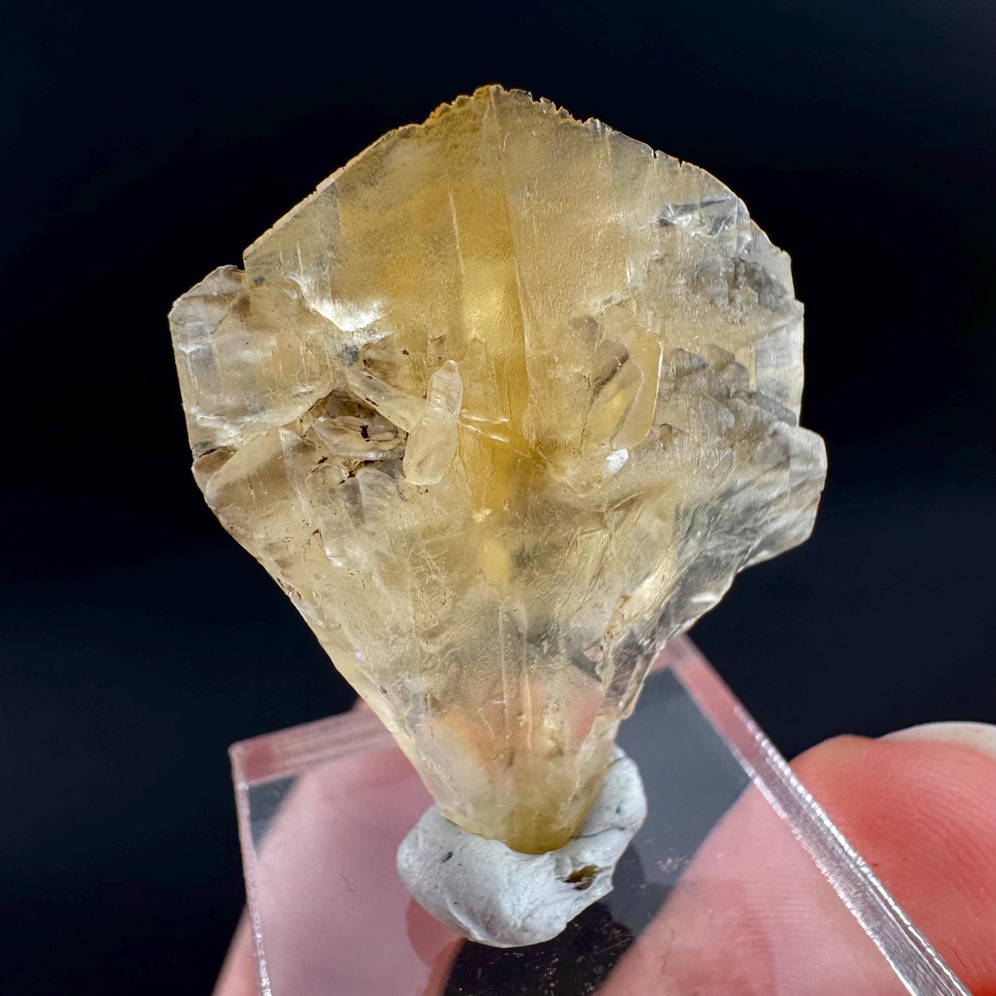 Golden Selenite Blade | Fluorescent UV Reactive Gypsum Crystal
