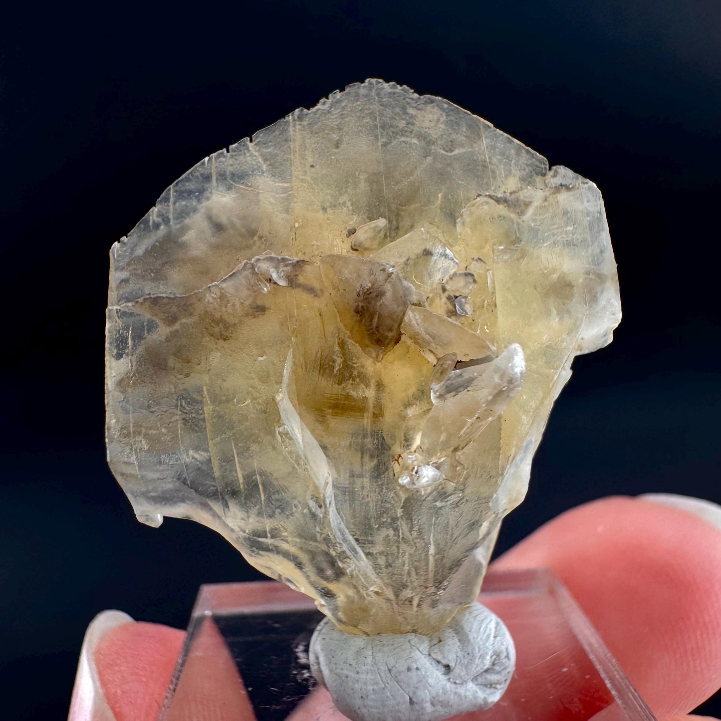 Golden Selenite Blade | Fluorescent UV Reactive Gypsum Crystal