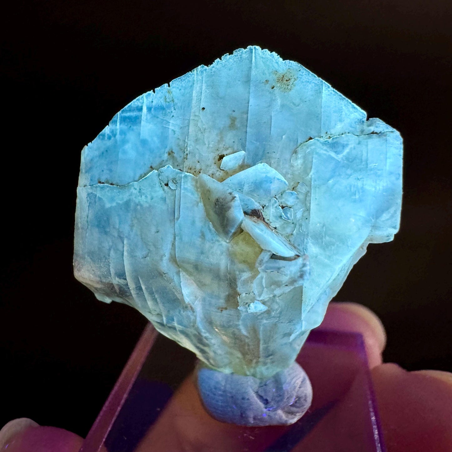 Golden Selenite Blade | Fluorescent UV Reactive Gypsum Crystal