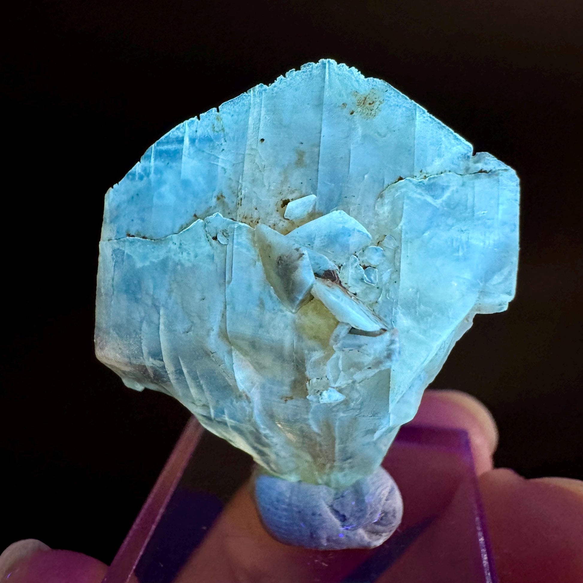 Golden Selenite Blade | Fluorescent UV Reactive Gypsum Crystal