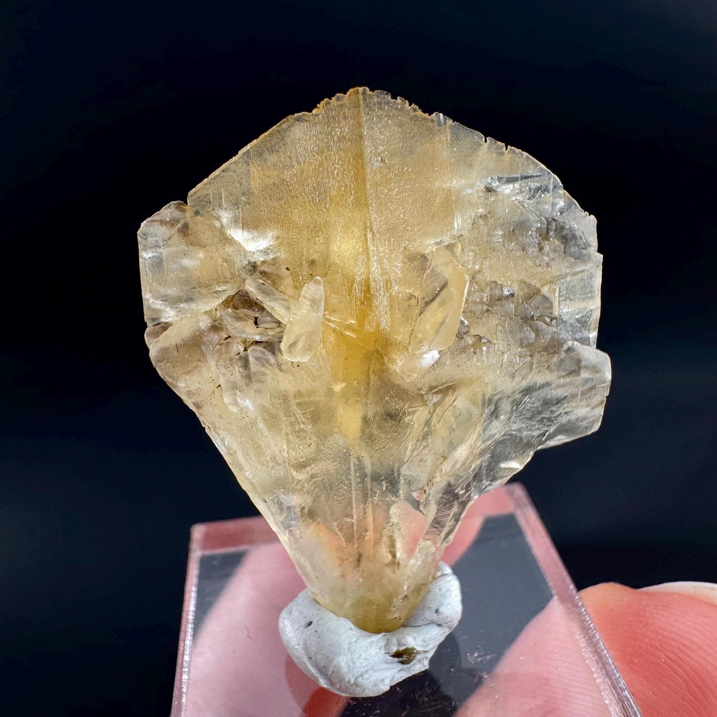 Golden Selenite Blade | Fluorescent UV Reactive Gypsum Crystal