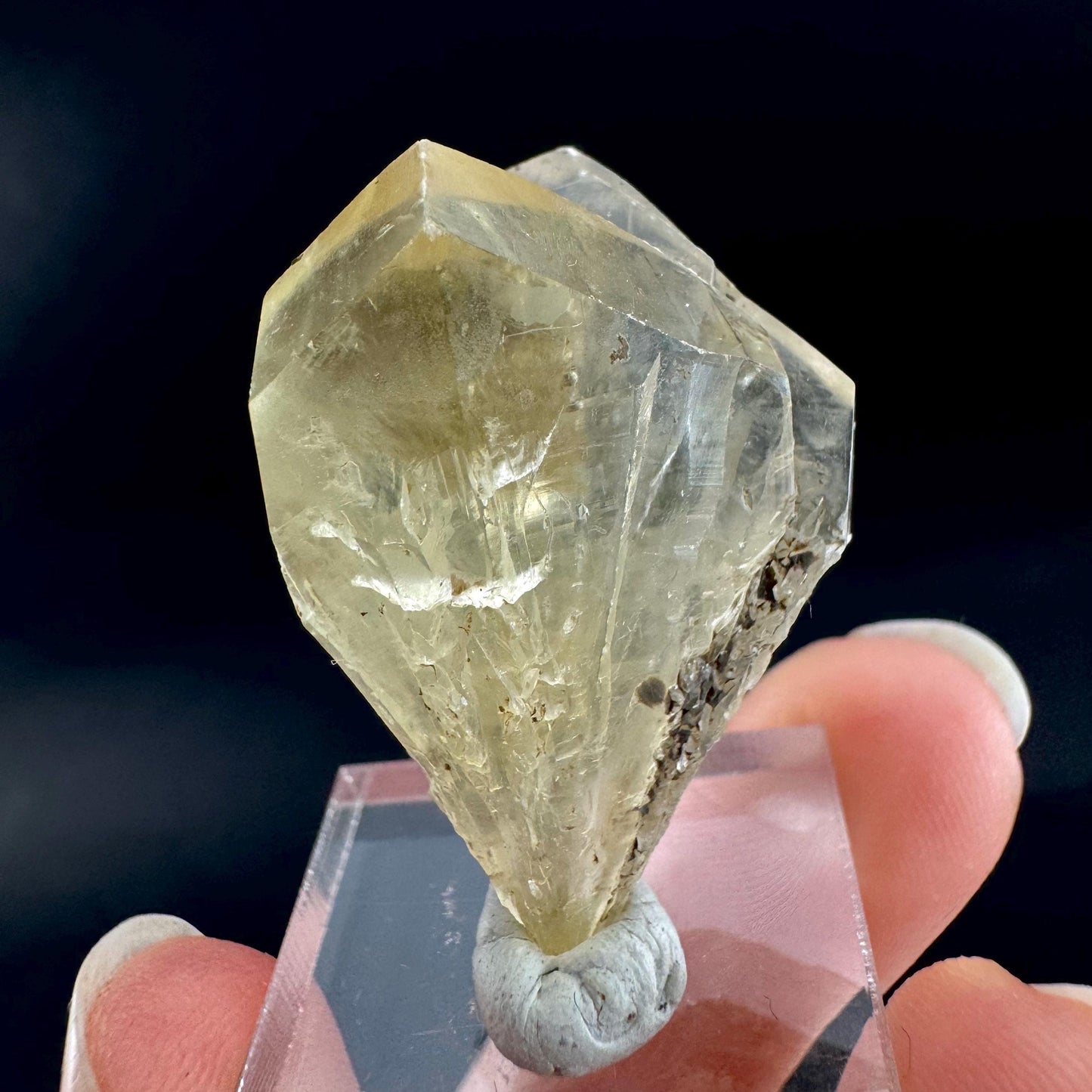 Golden Selenite Blade | Fluorescent UV Reactive Gypsum Crystal