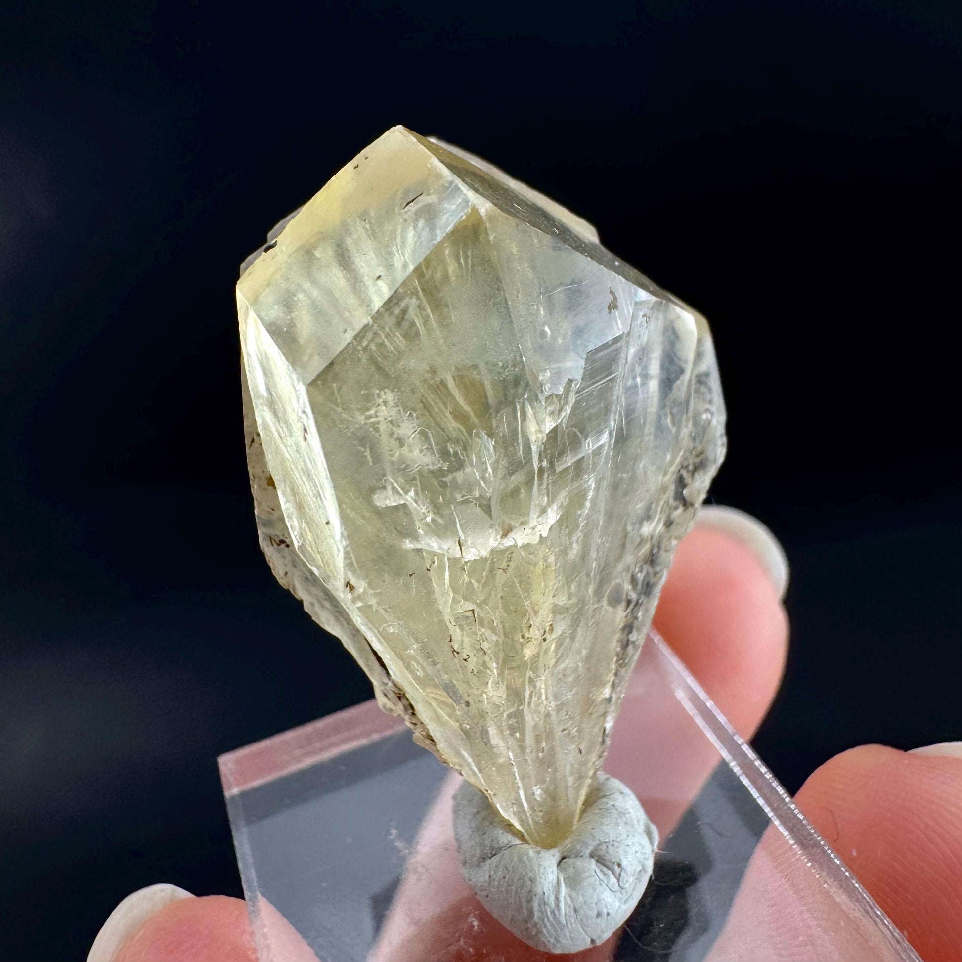 Golden Selenite Blade | Fluorescent UV Reactive Gypsum Crystal