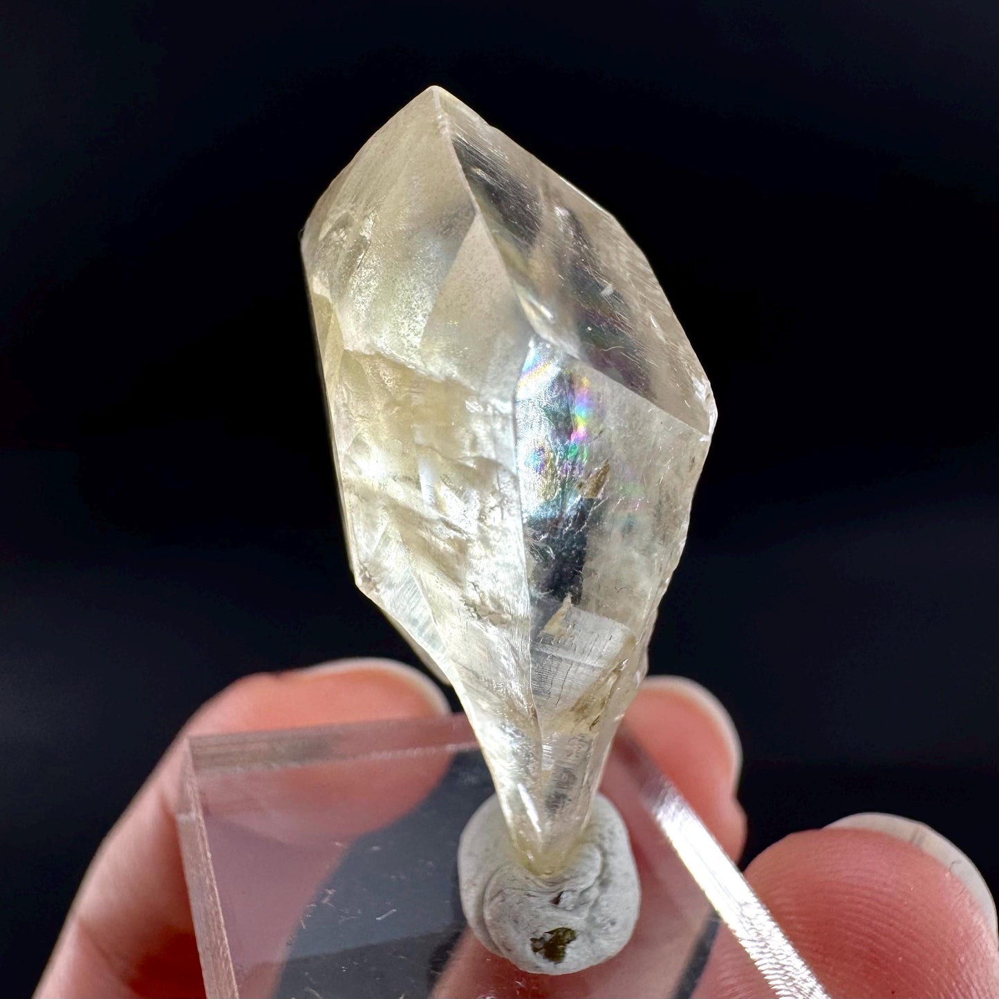 Golden Selenite Blade | Fluorescent UV Reactive Gypsum Crystal