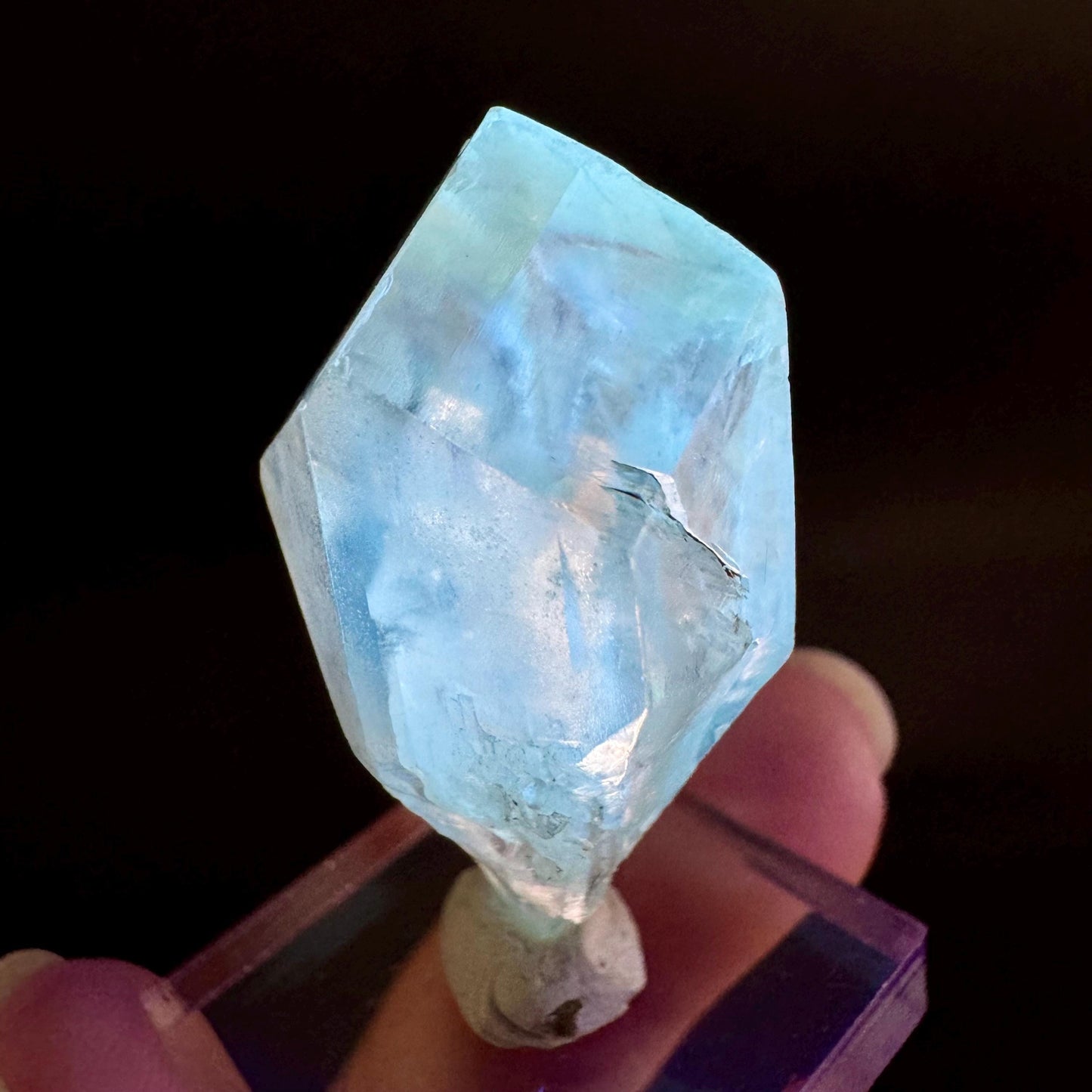 Golden Selenite Blade | Fluorescent UV Reactive Gypsum Crystal