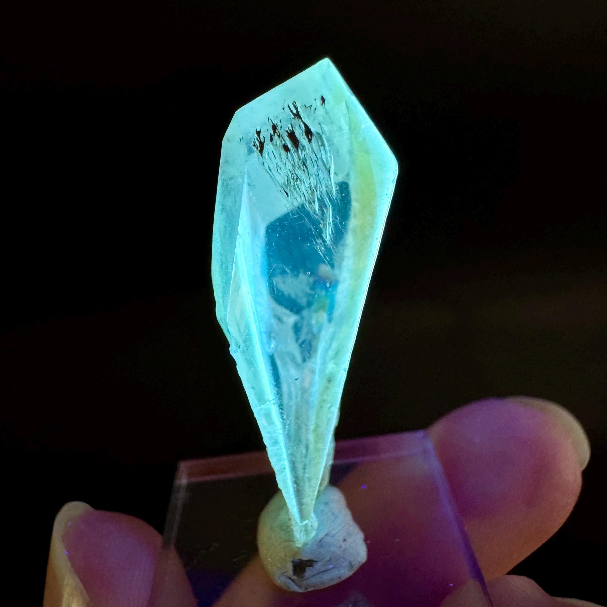 Golden Selenite Blade | Fluorescent UV Reactive Gypsum Crystal