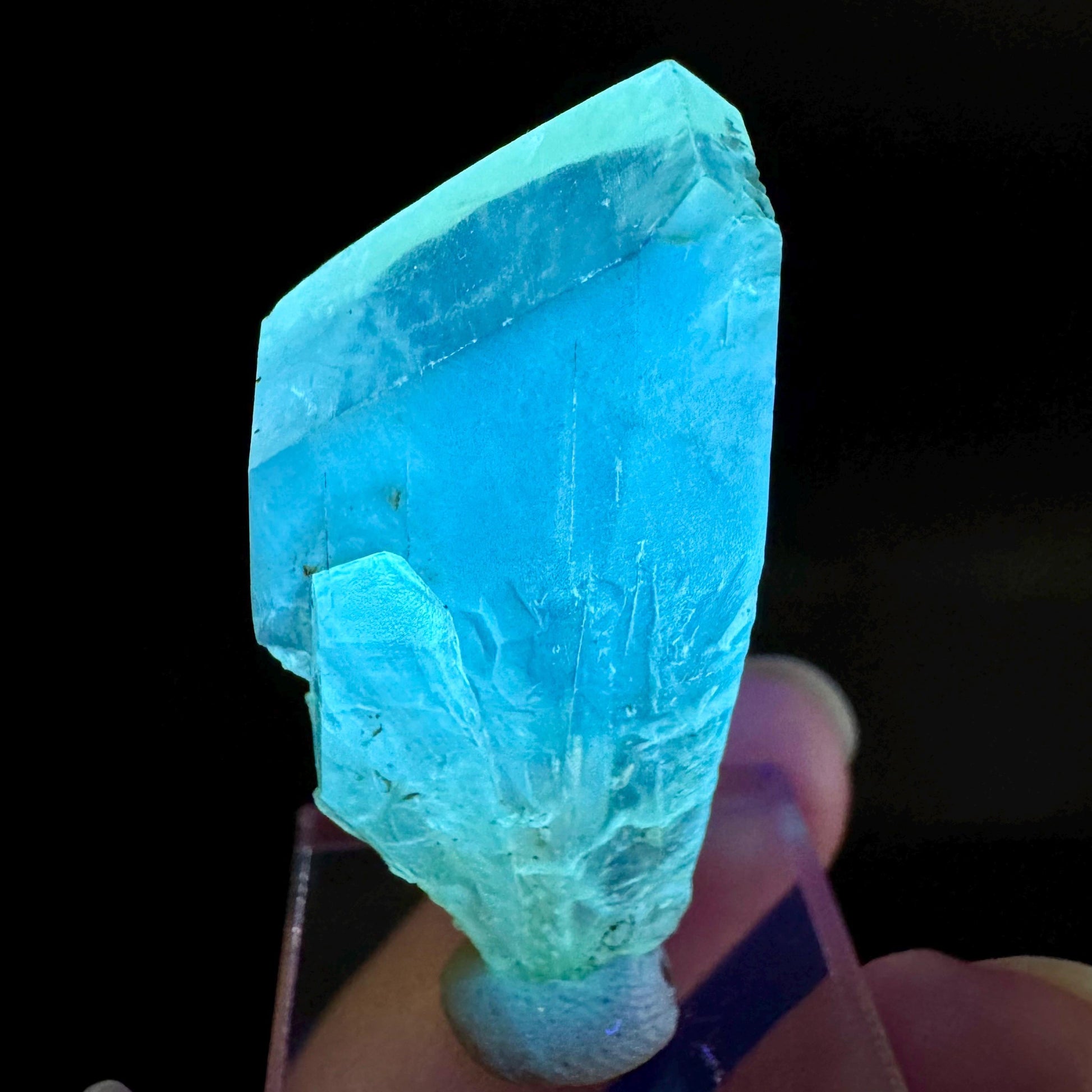 Golden Selenite Blade | Fluorescent UV Reactive Gypsum Crystal