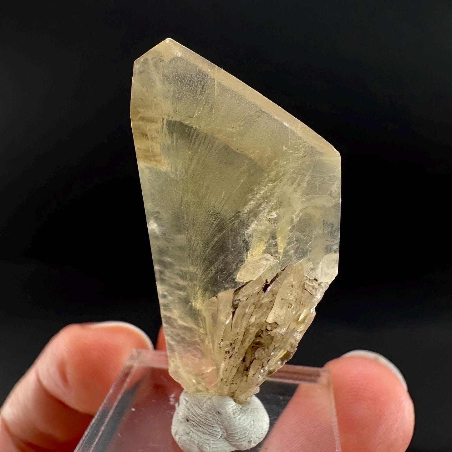 Golden Selenite Blade | Fluorescent UV Reactive Gypsum Crystal