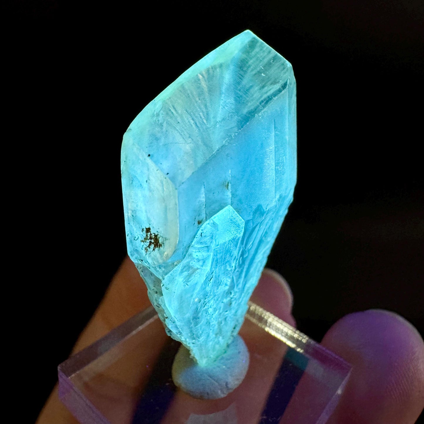 Golden Selenite Blade | Fluorescent UV Reactive Gypsum Crystal