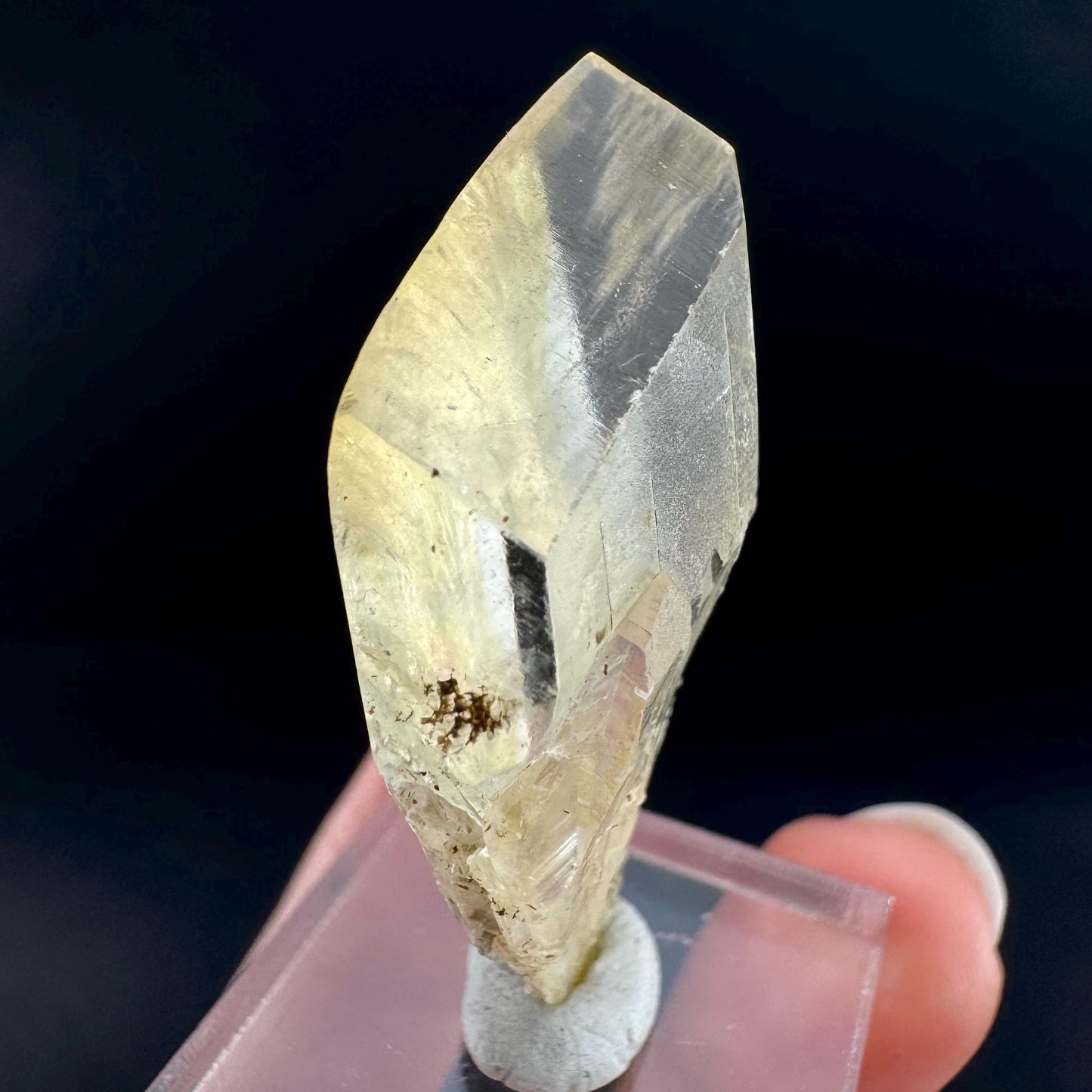 Golden Selenite Blade | Fluorescent UV Reactive Gypsum Crystal