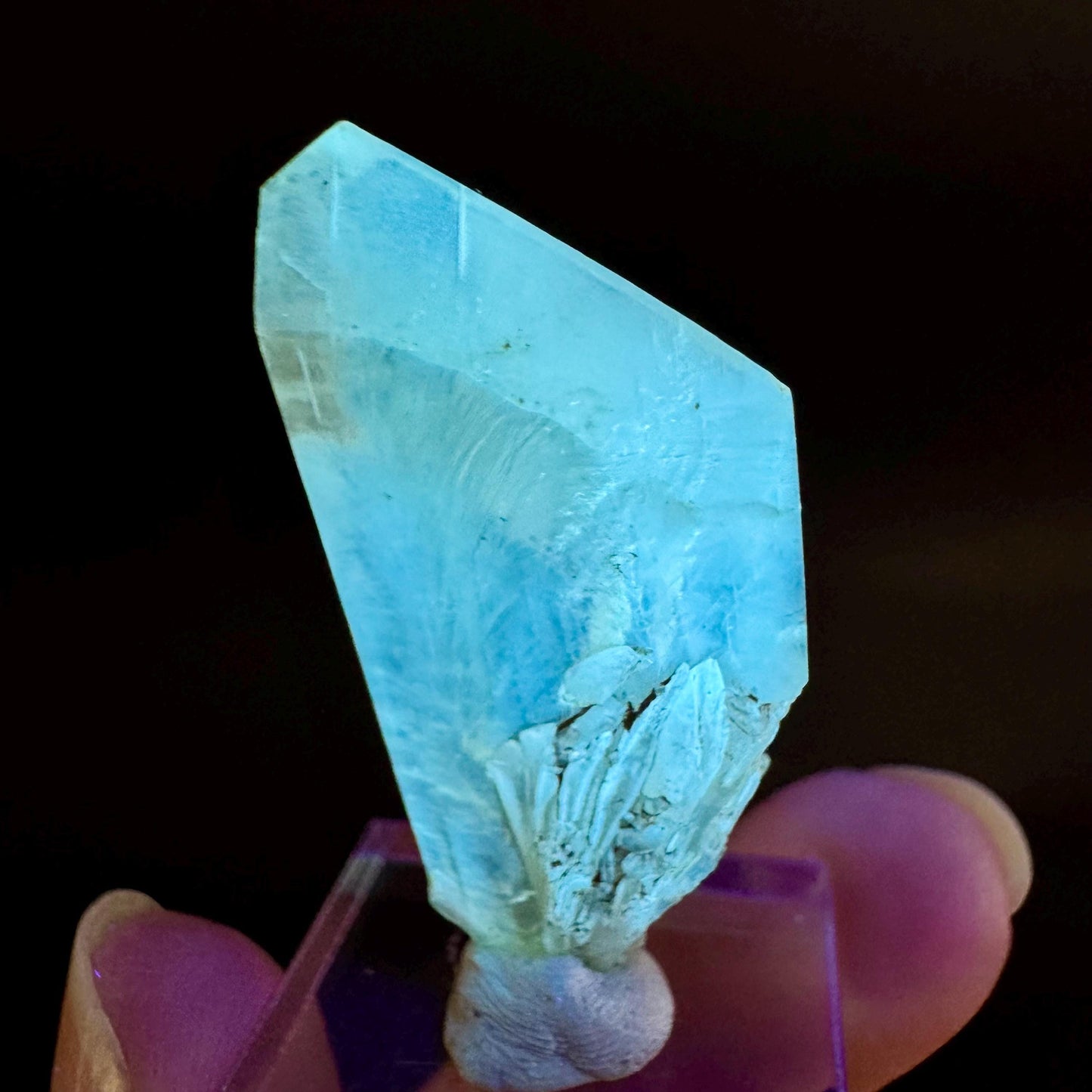 Golden Selenite Blade | Fluorescent UV Reactive Gypsum Crystal