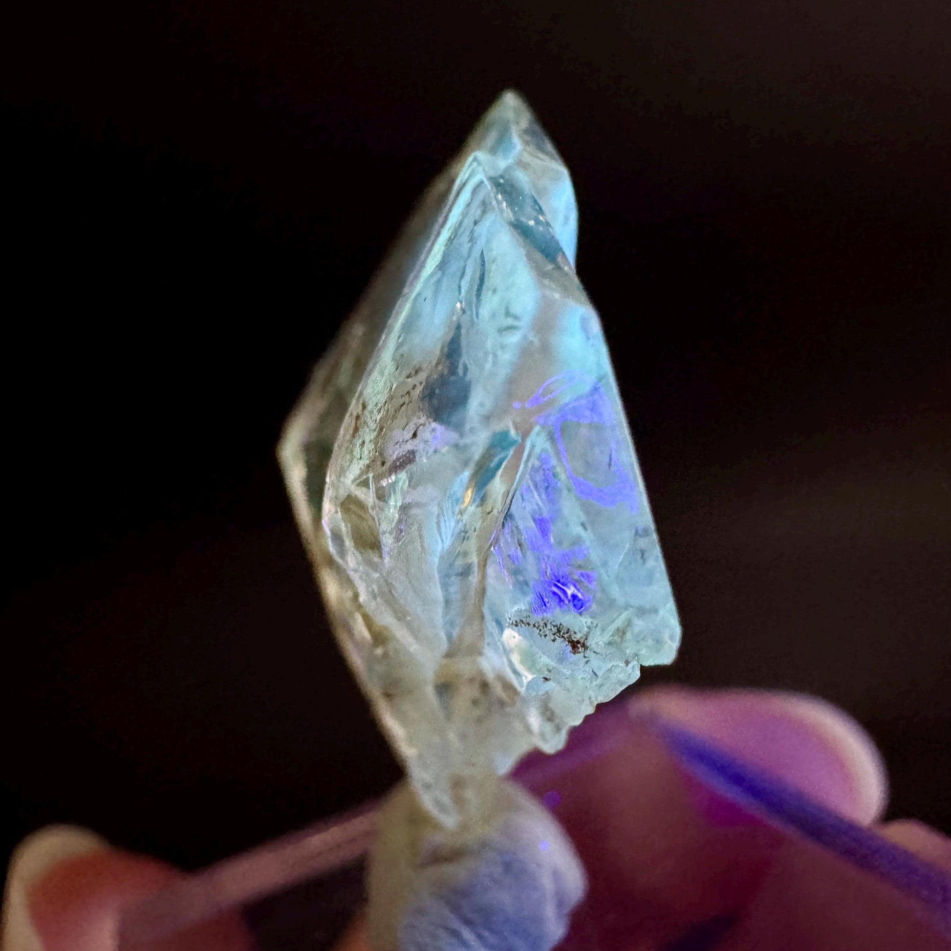 Golden Selenite Blade | Fluorescent UV Reactive Gypsum Crystal