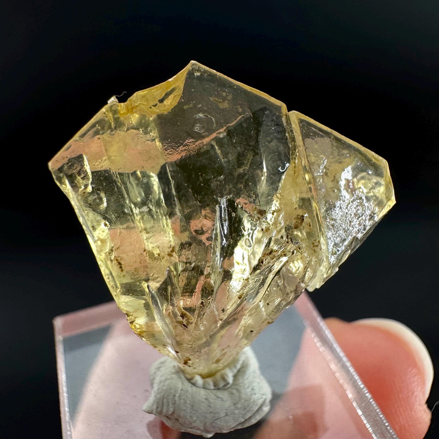 Golden Selenite Blade | Fluorescent UV Reactive Gypsum Crystal