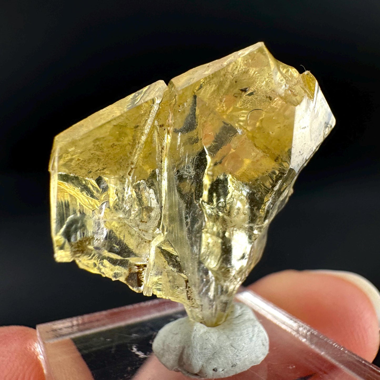 Golden Selenite Blade | Fluorescent UV Reactive Gypsum Crystal