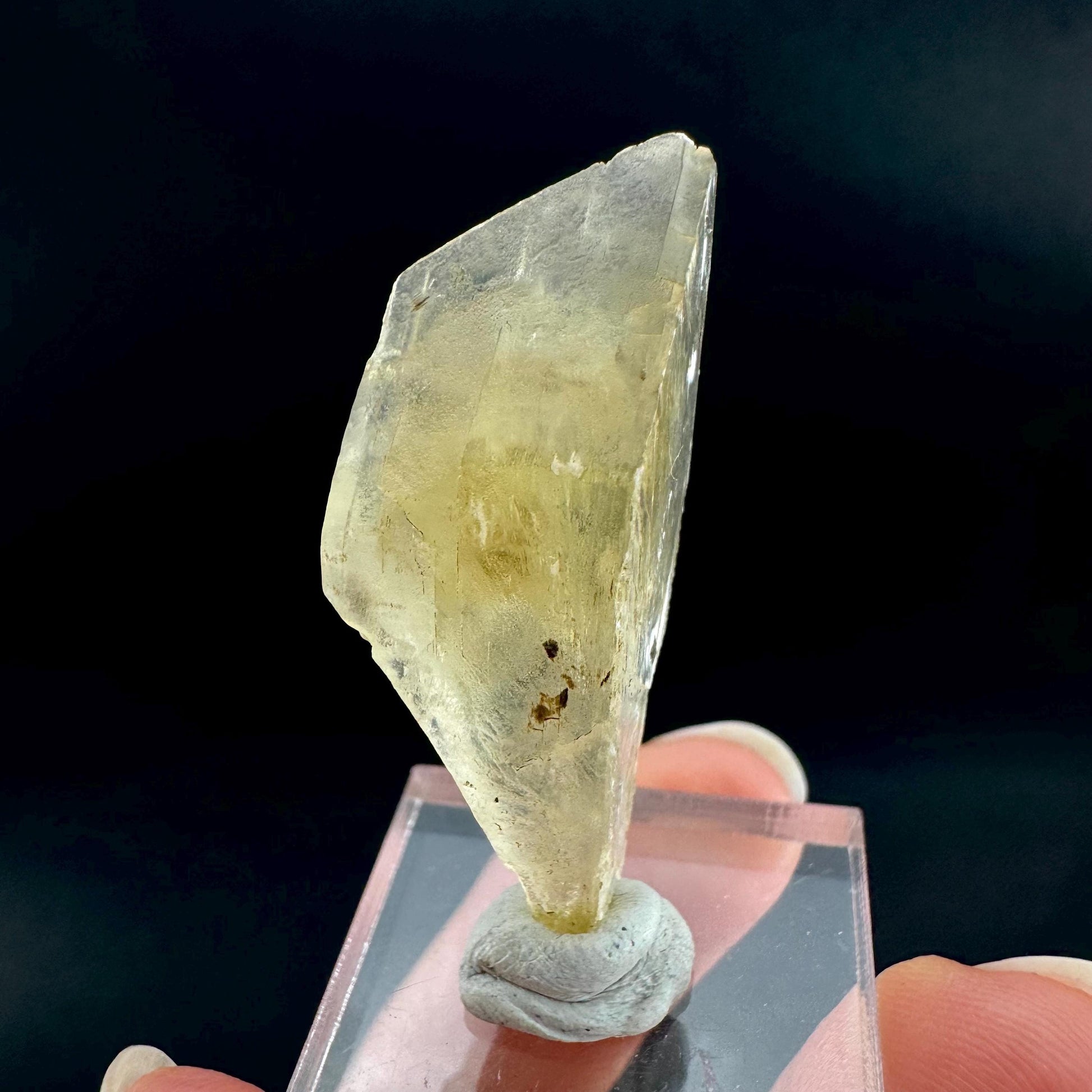 Golden Selenite Blade | Fluorescent UV Reactive Gypsum Crystal