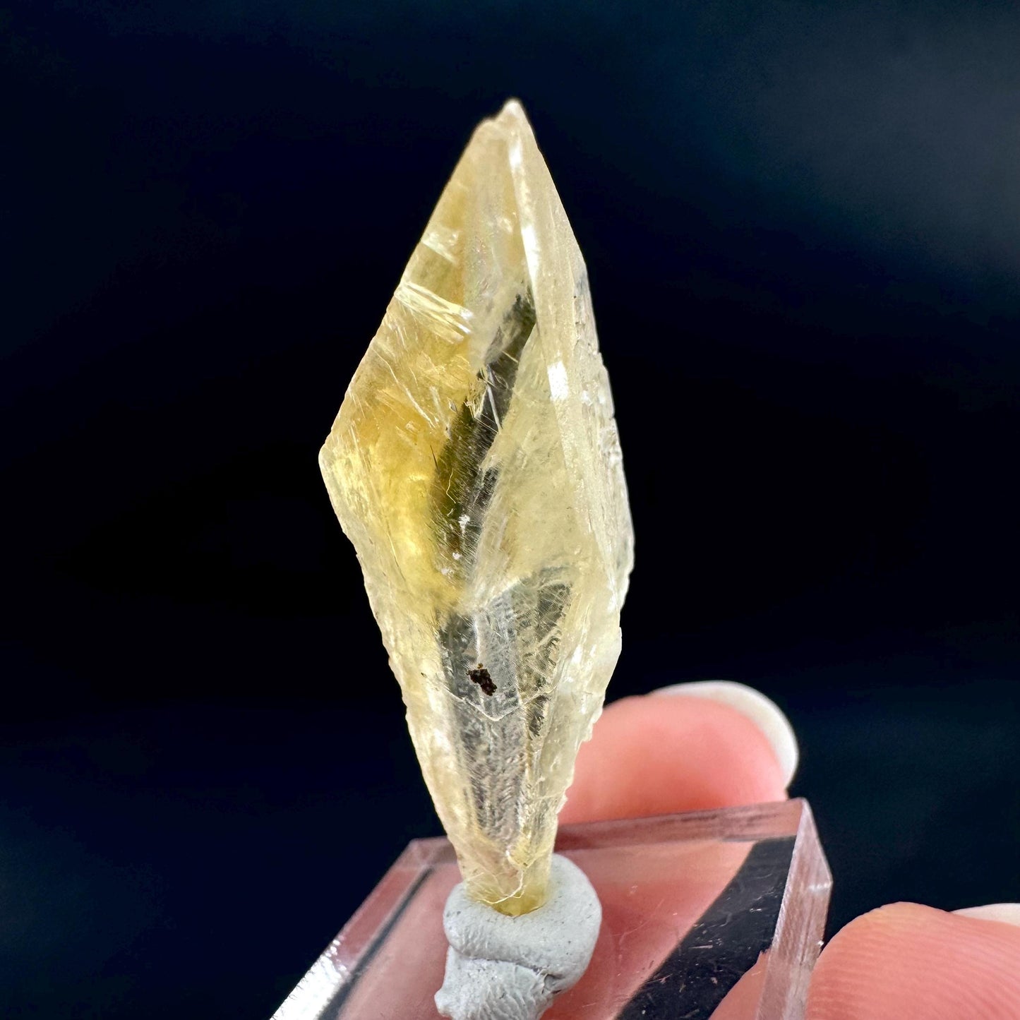Golden Selenite Blade | Fluorescent UV Reactive Gypsum Crystal