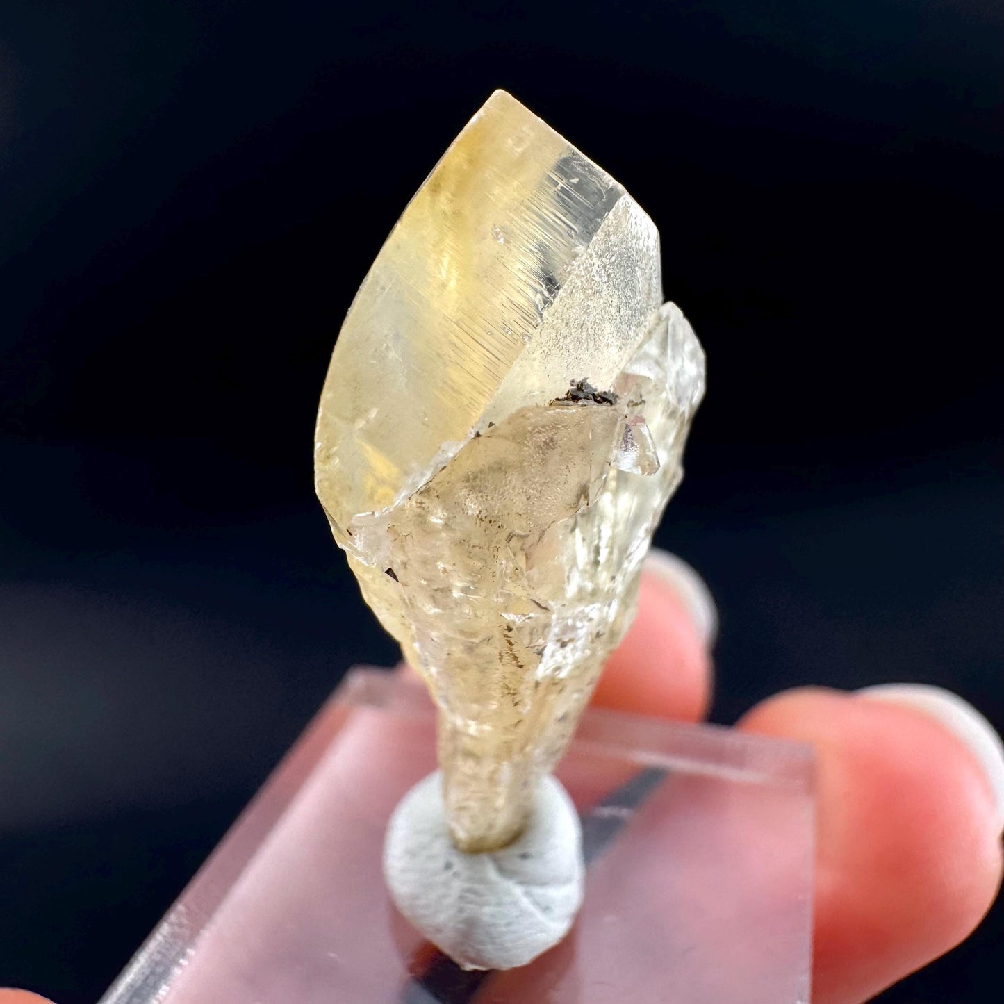 Golden Selenite Blade | Fluorescent UV Reactive Gypsum Crystal