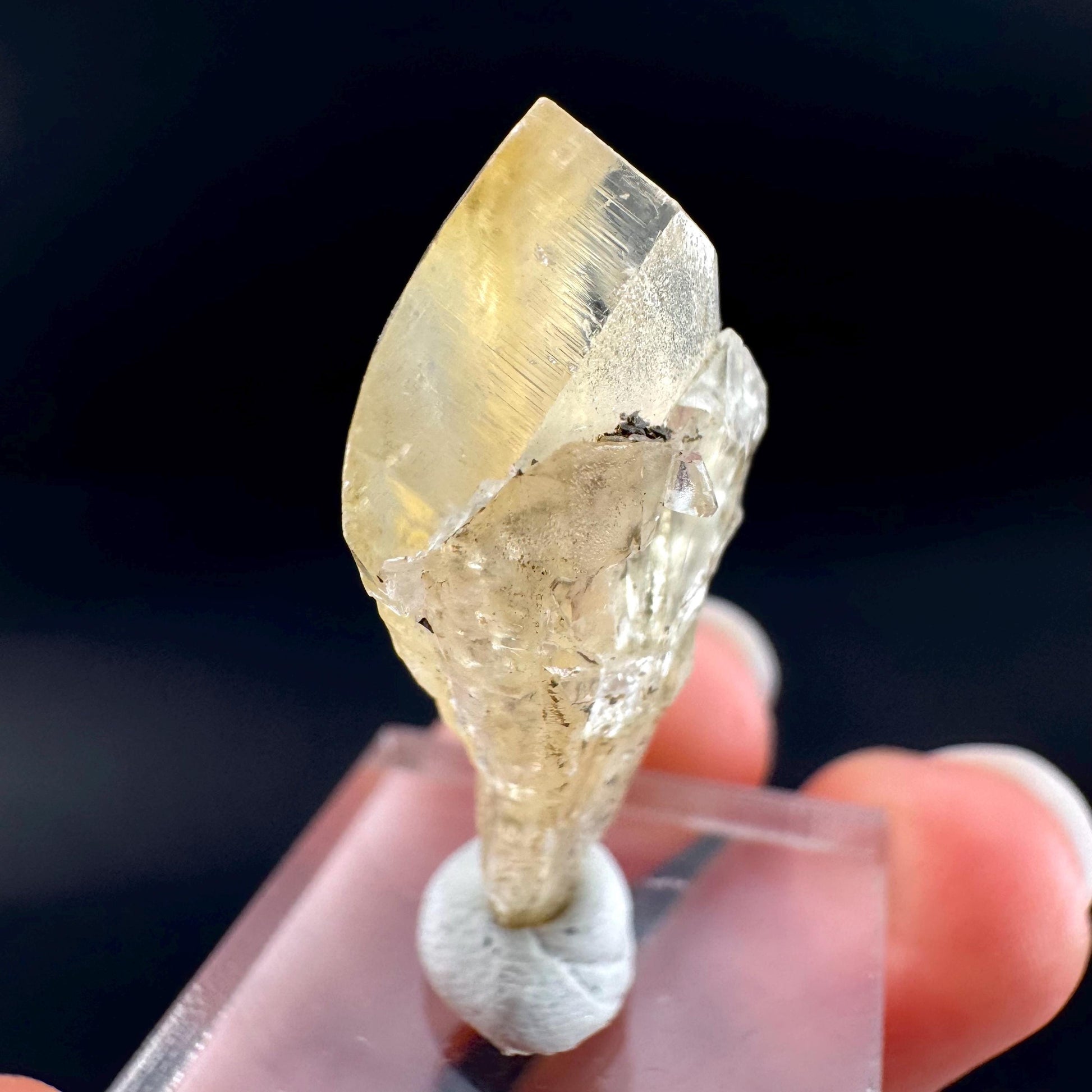 Golden Selenite Blade | Fluorescent UV Reactive Gypsum Crystal
