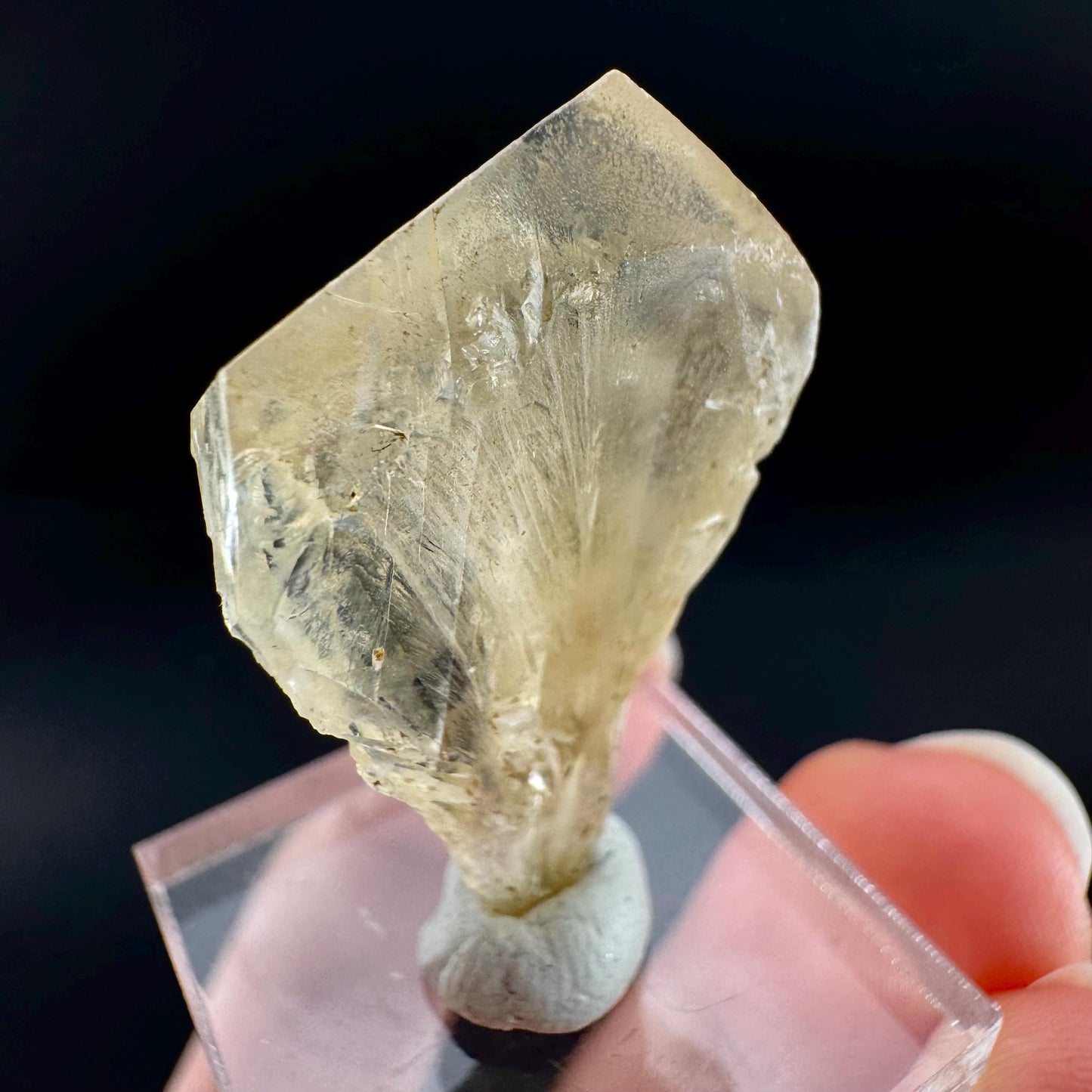 Golden Selenite Blade | Fluorescent UV Reactive Gypsum Crystal