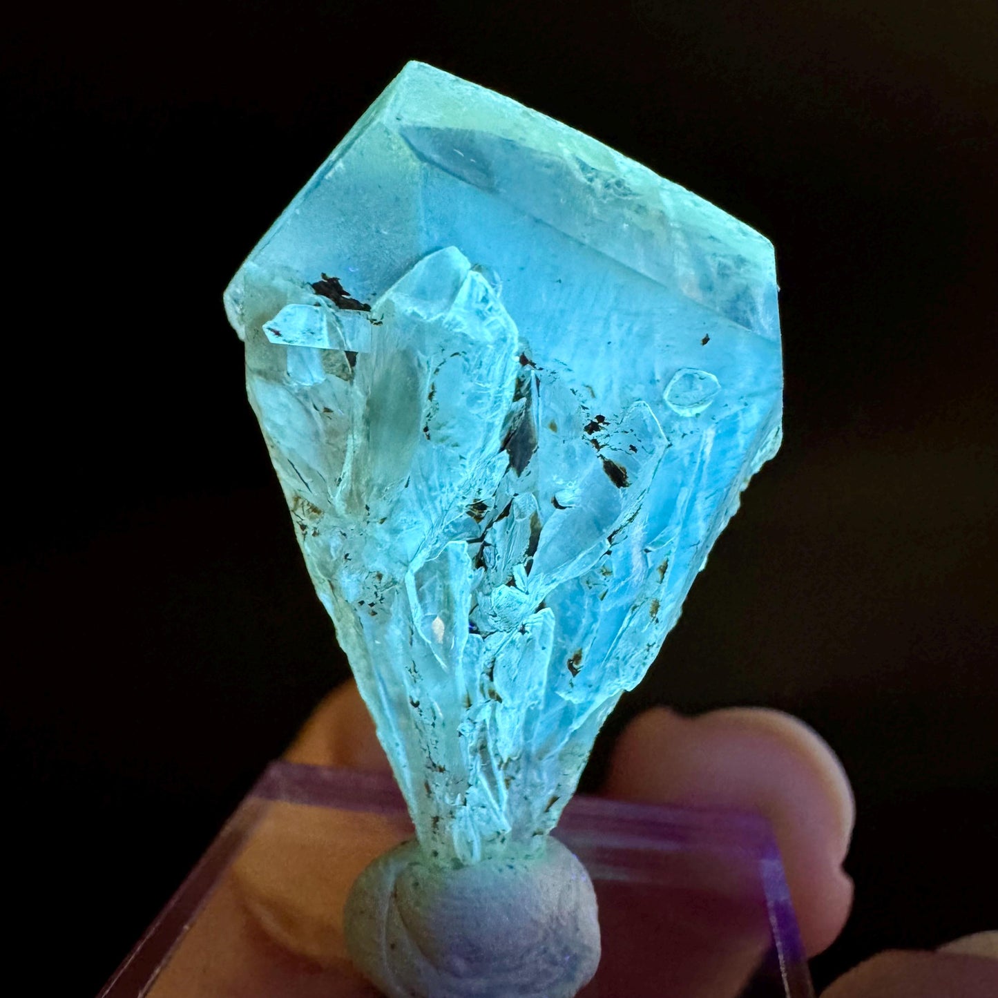 Golden Selenite Blade | Fluorescent UV Reactive Gypsum Crystal